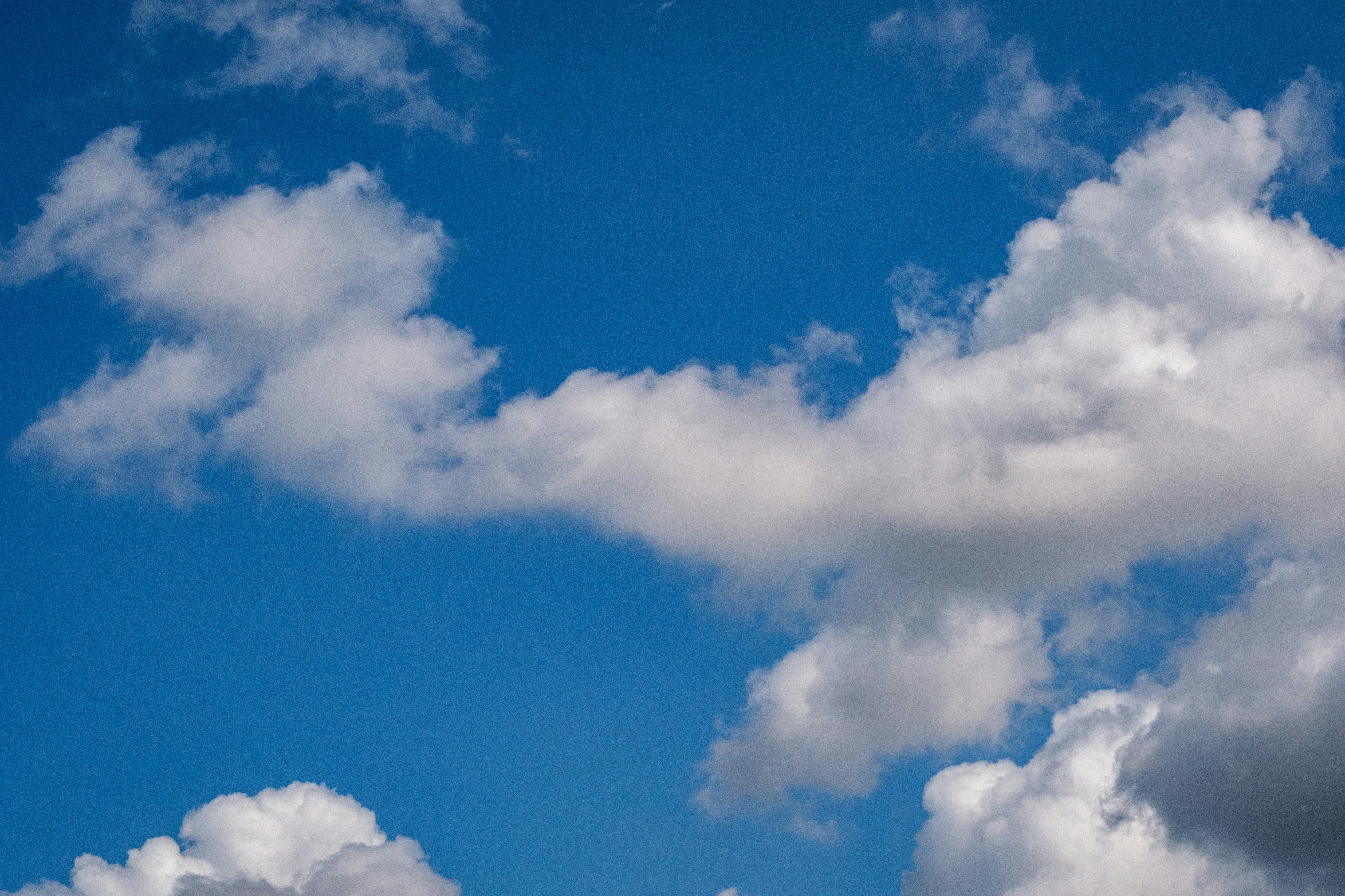 Photo by haberdoedas2