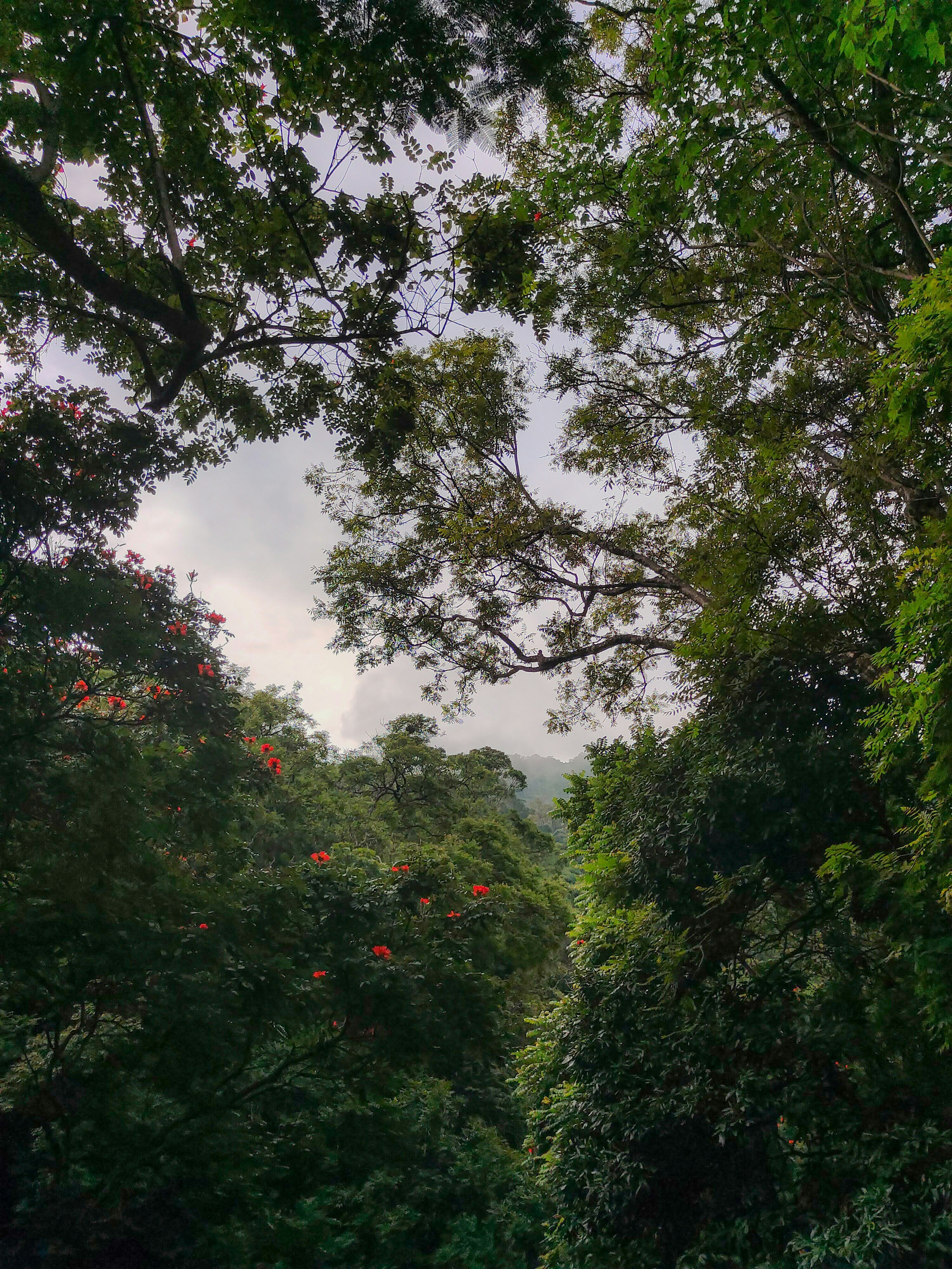 Photo by karthik_1023