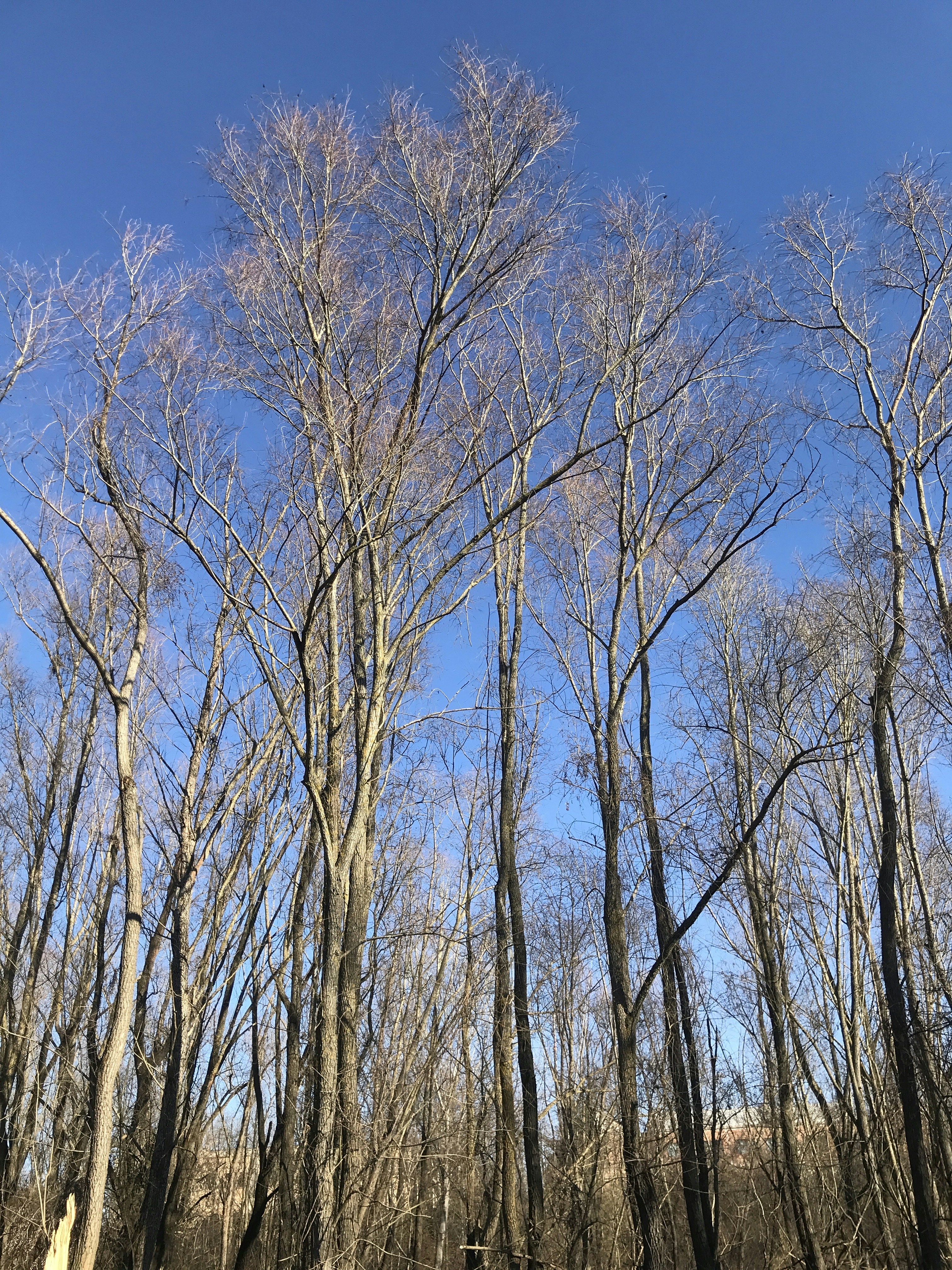 Photo by negolino031