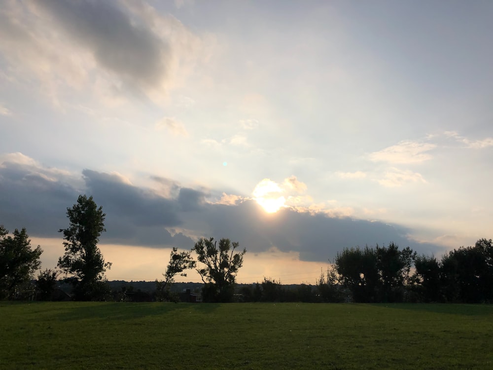 the sun is setting over a grassy field