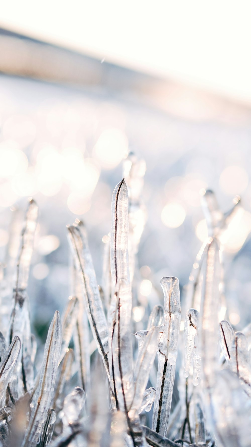 a close up of a bunch of ice crystals