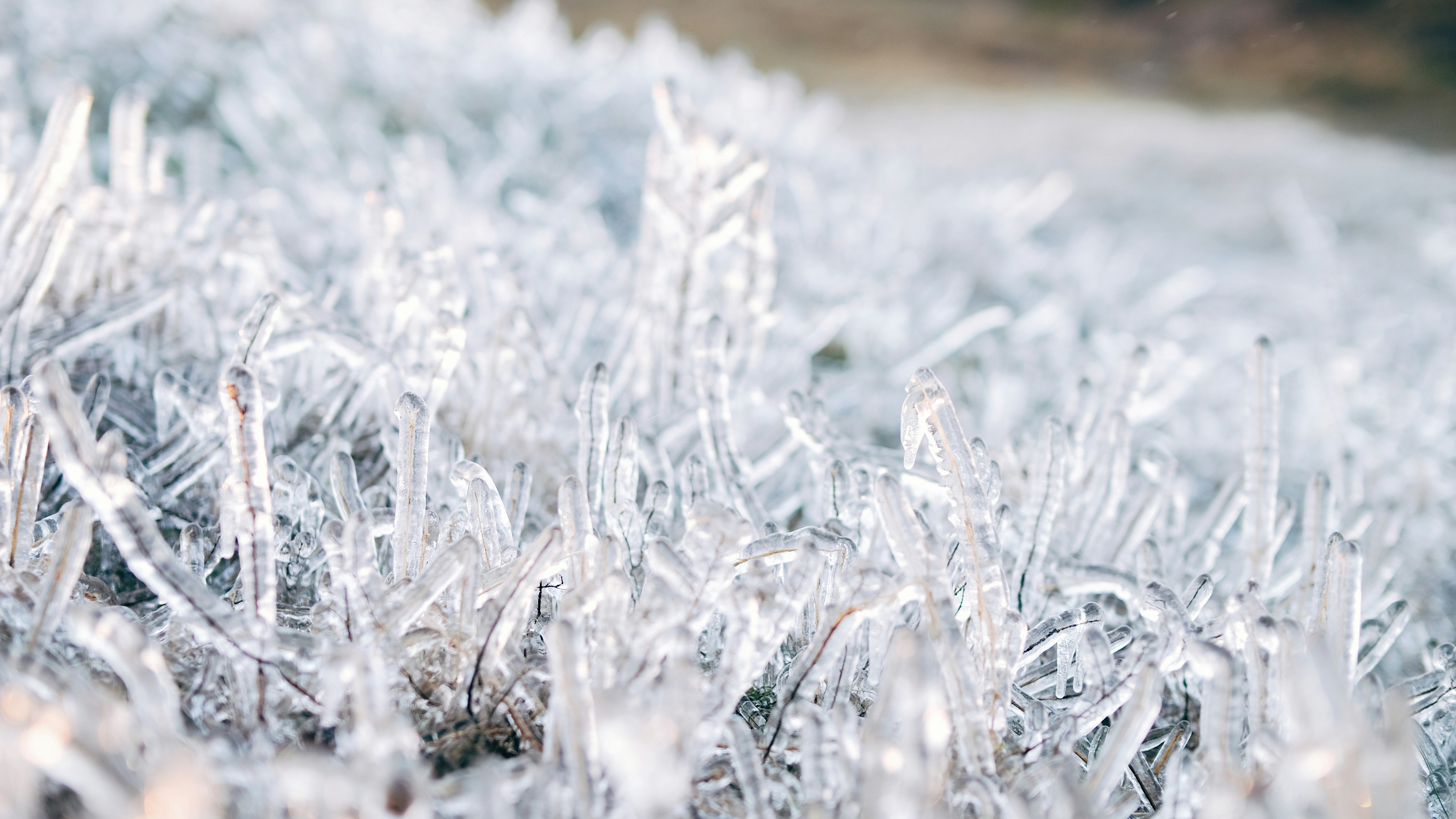 Photo by kadrivmaephotos