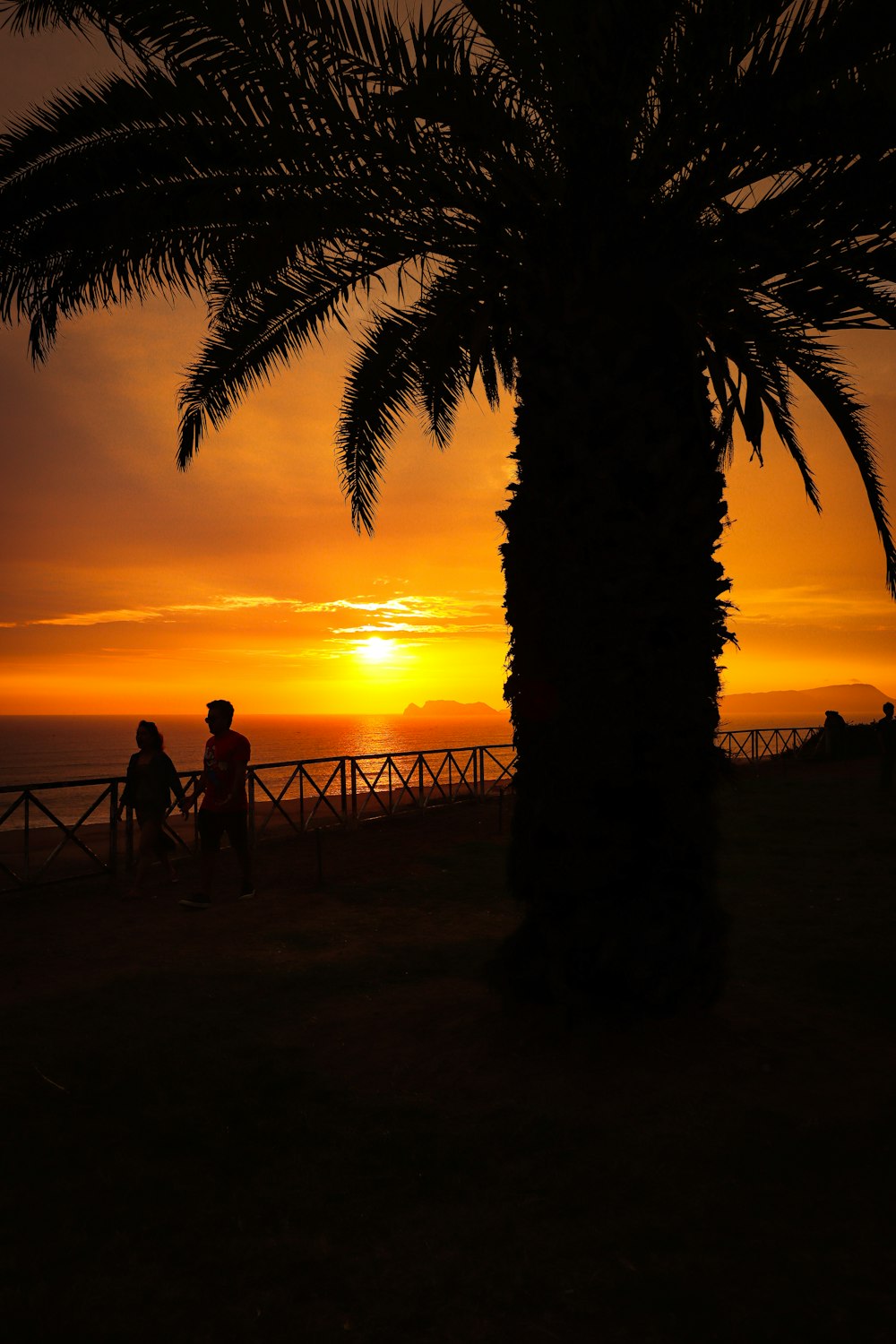 a couple of people standing next to a palm tree