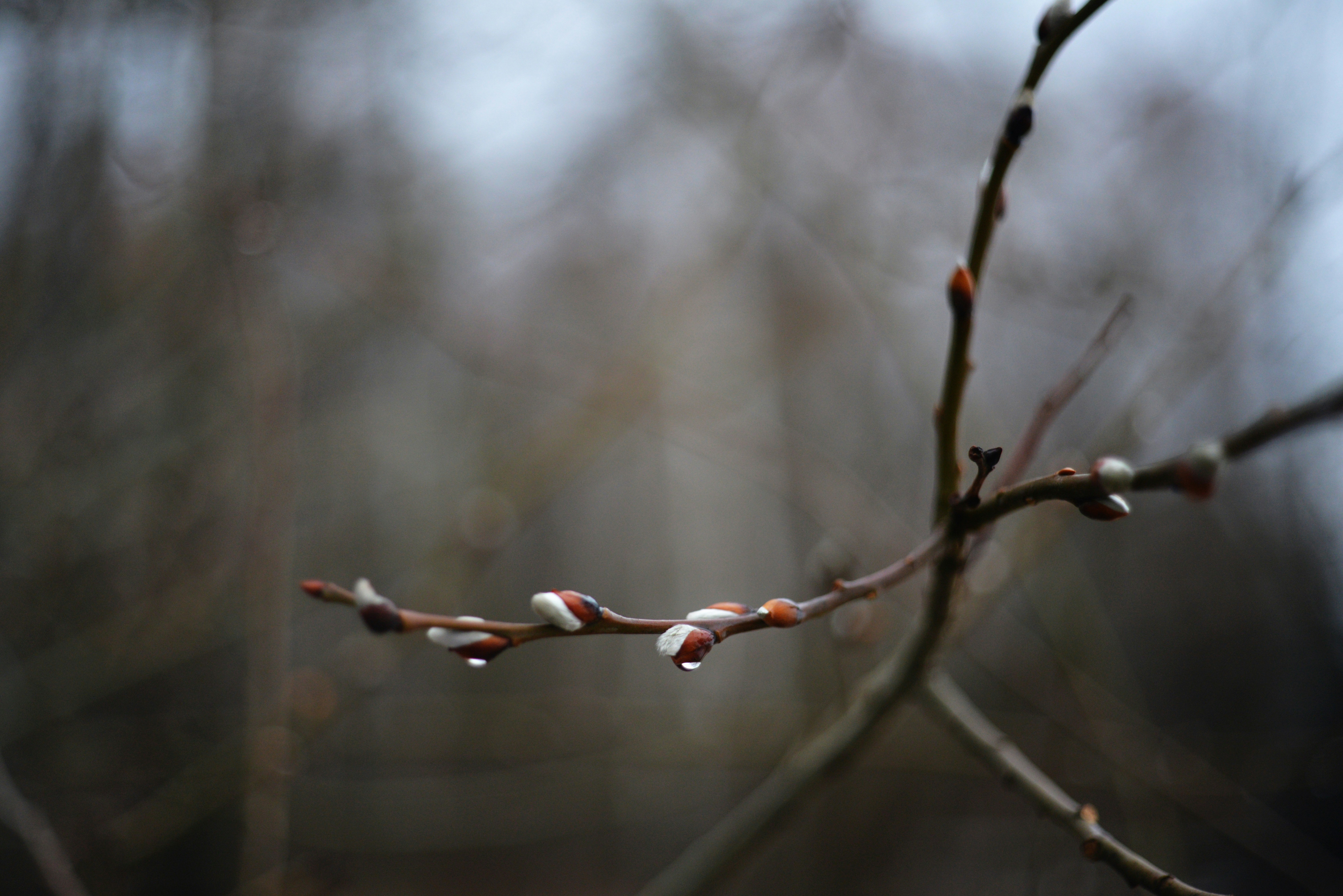 Photo by cherstve_pechivo