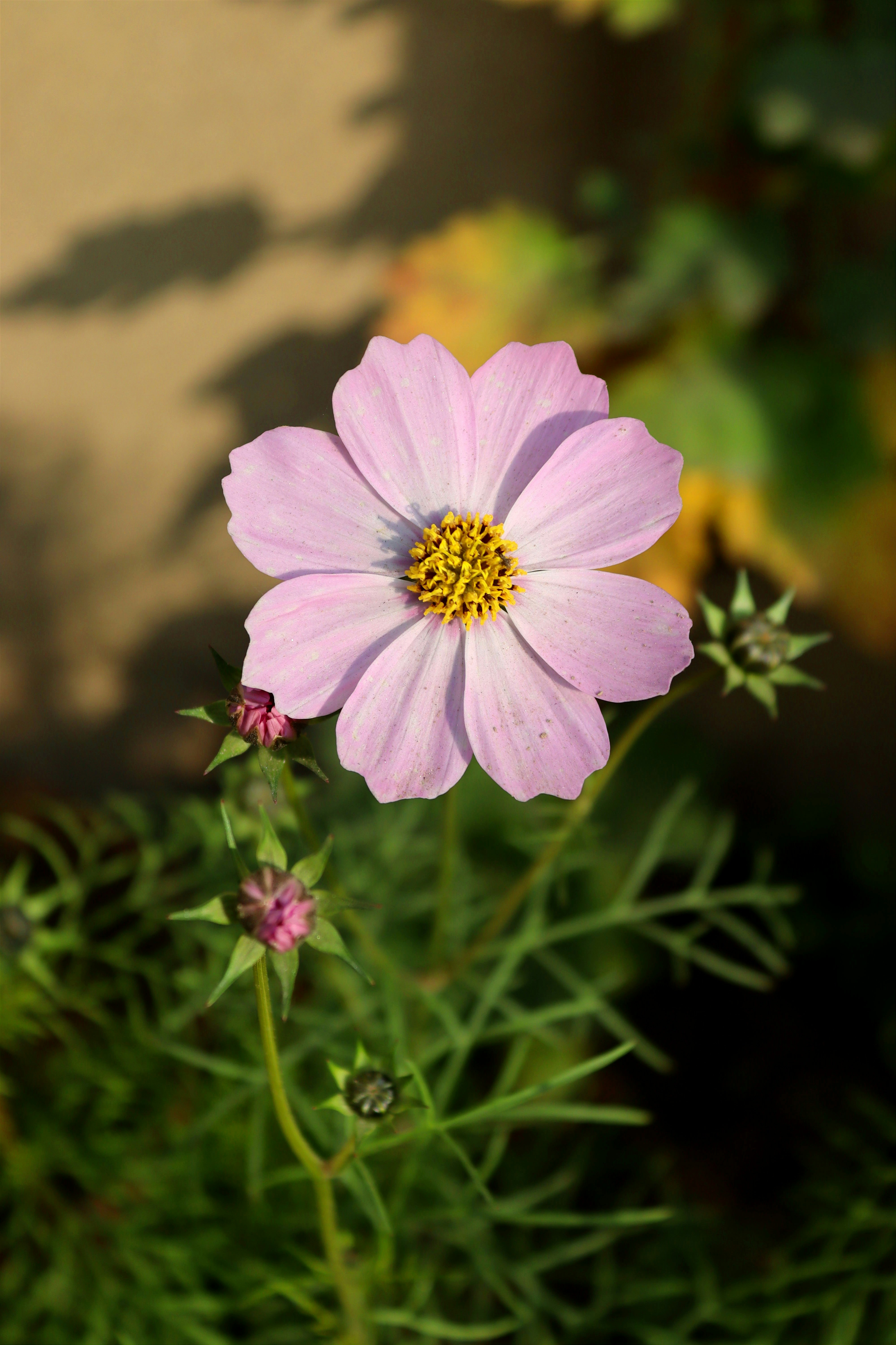 Photo by drphotographer152