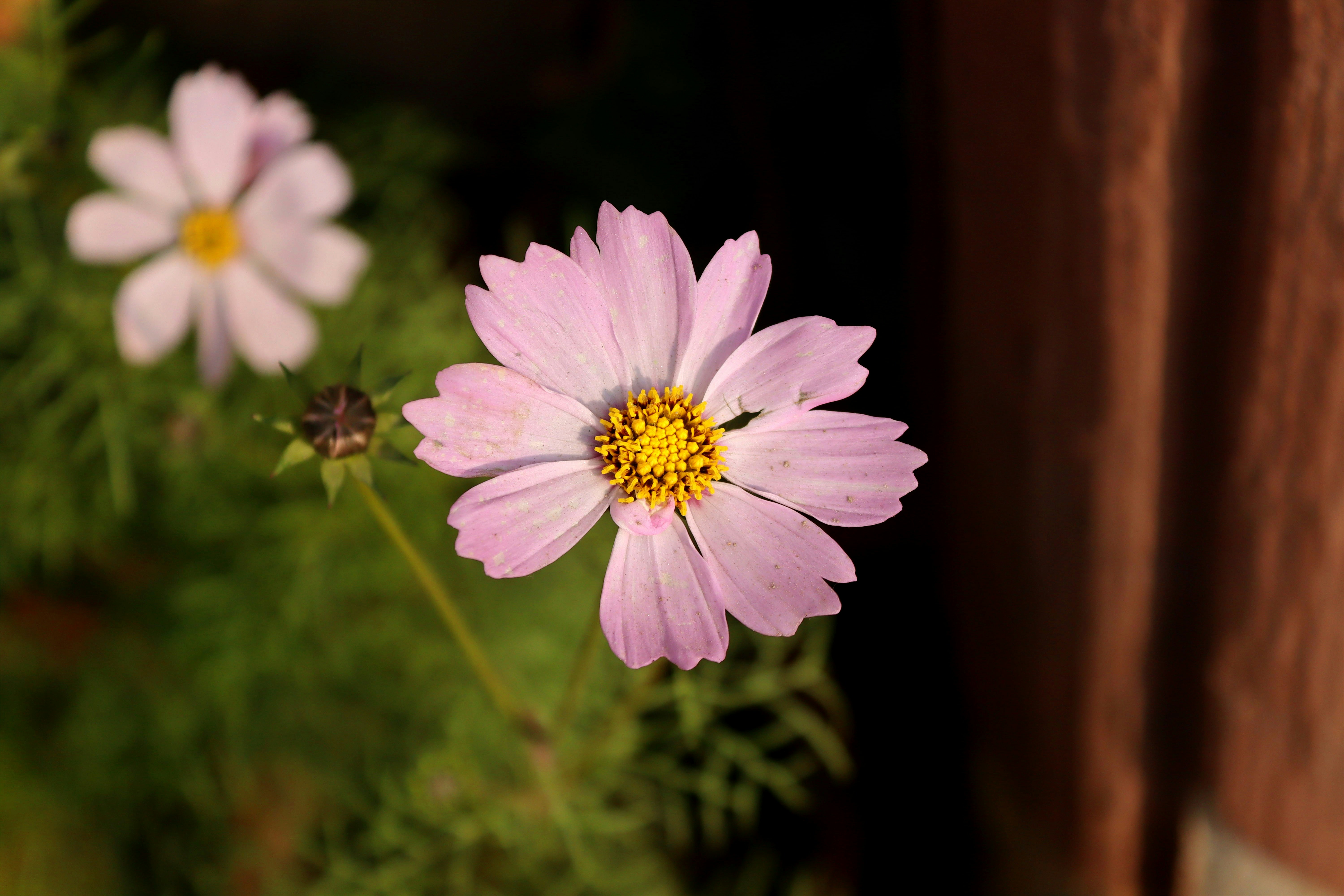 Photo by drphotographer152