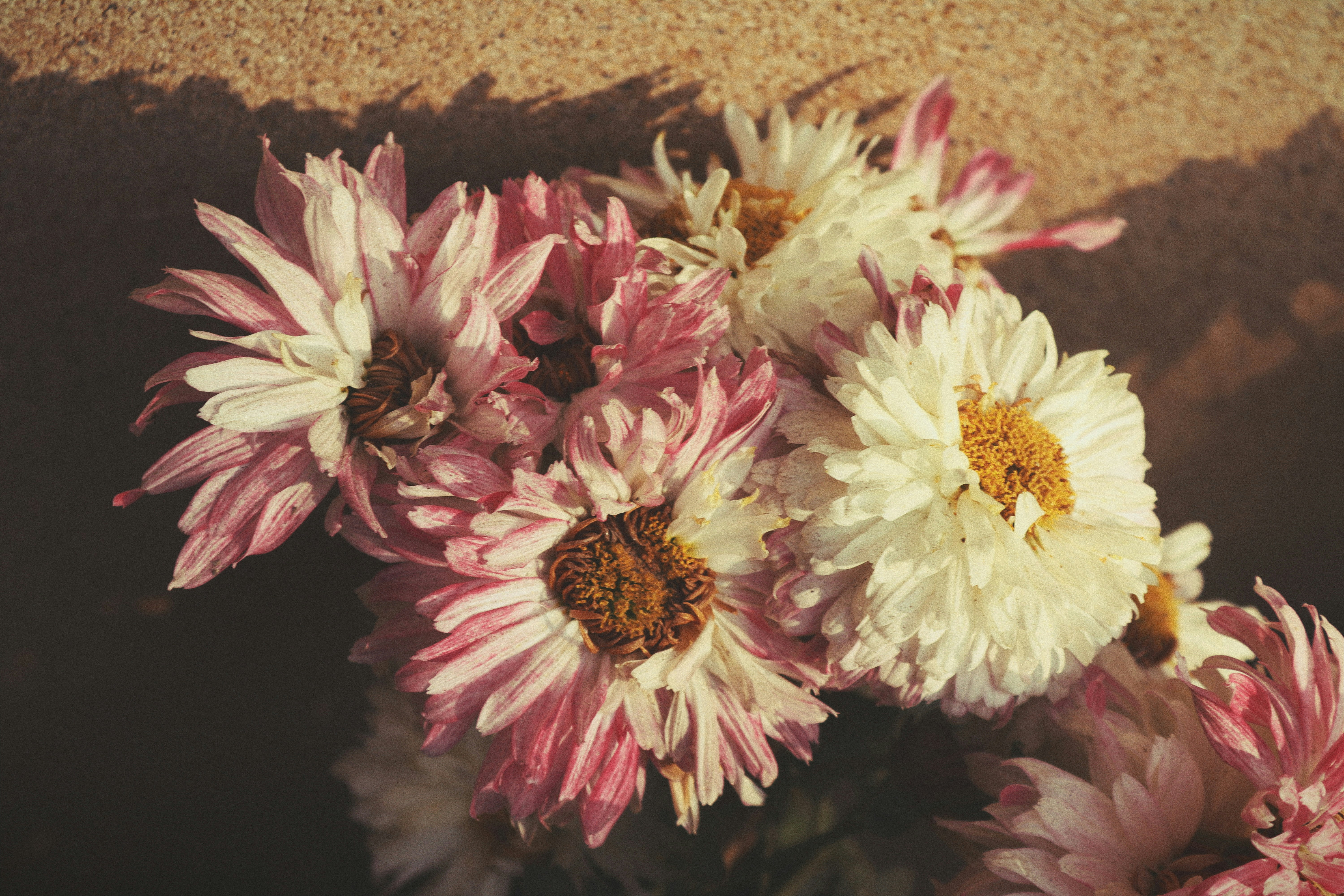 Photo by drphotographer152