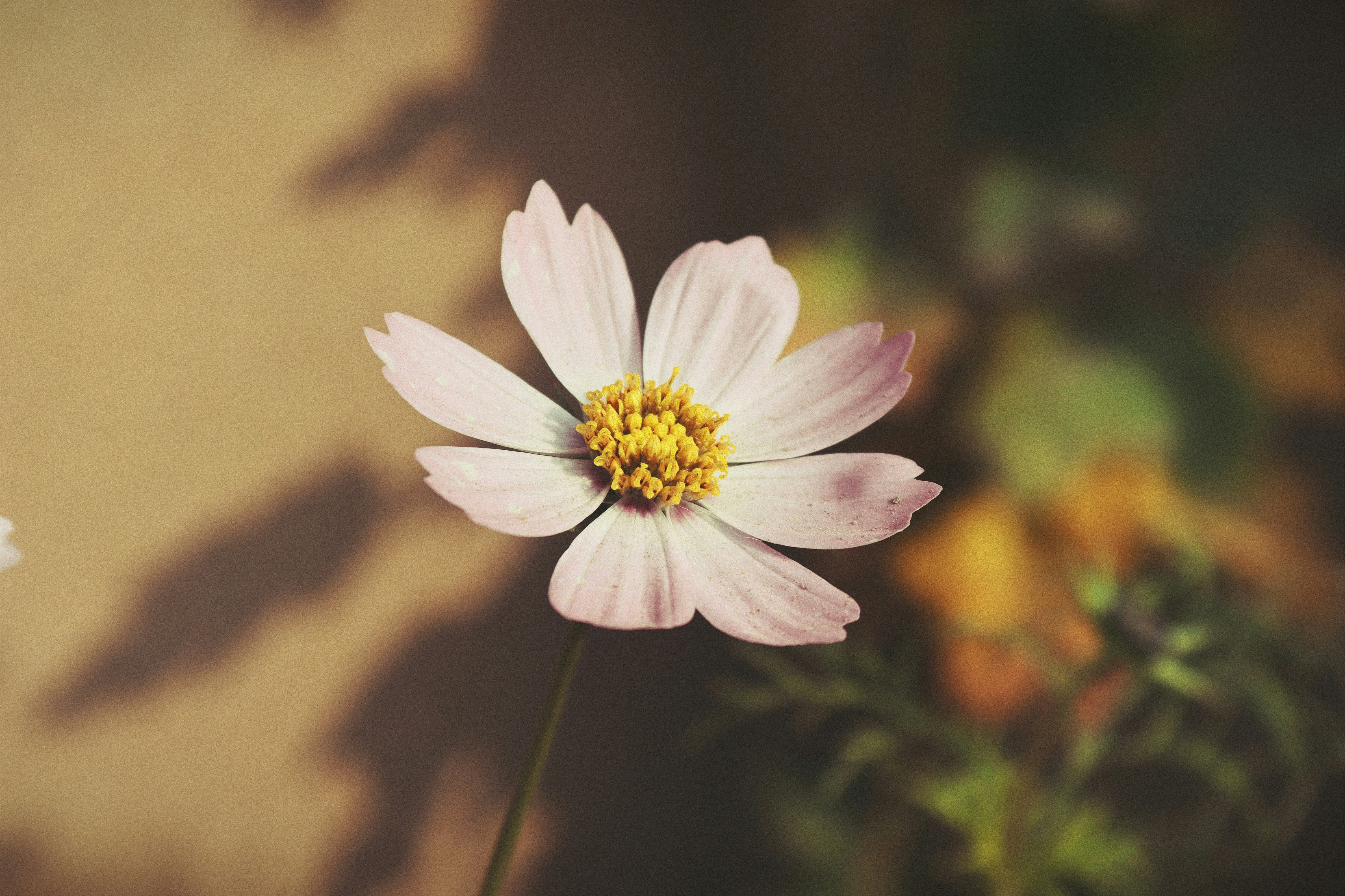 Photo by drphotographer152