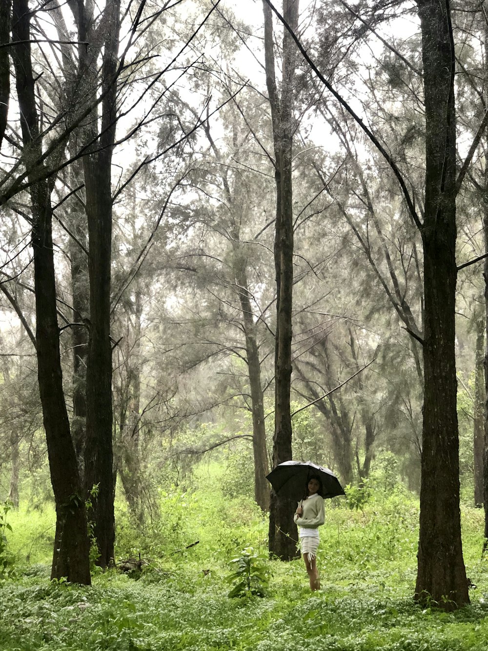 a person holding an umbrella in a forest
