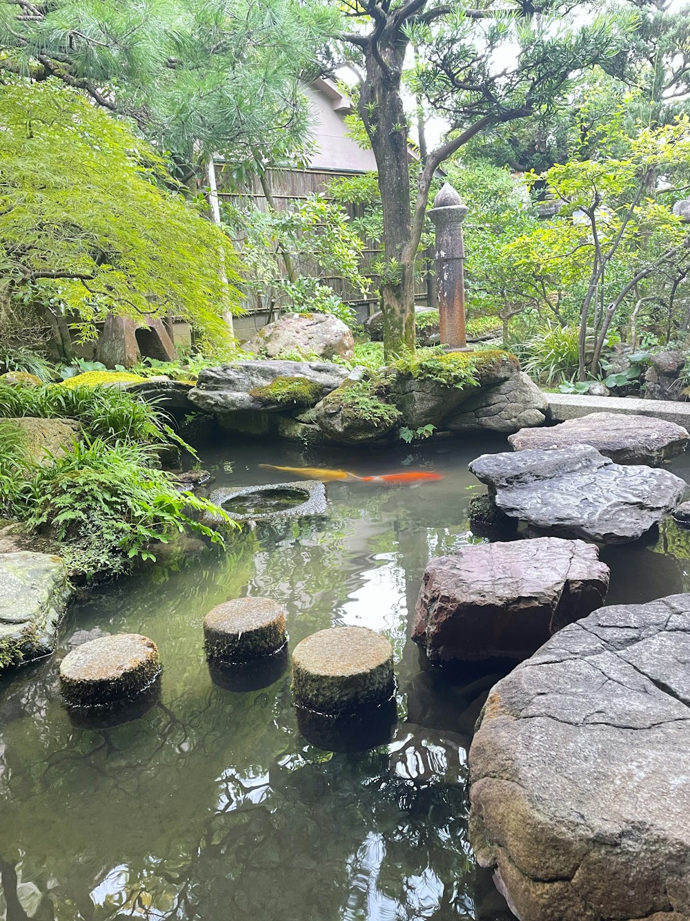 a garden with a pond and stepping stones