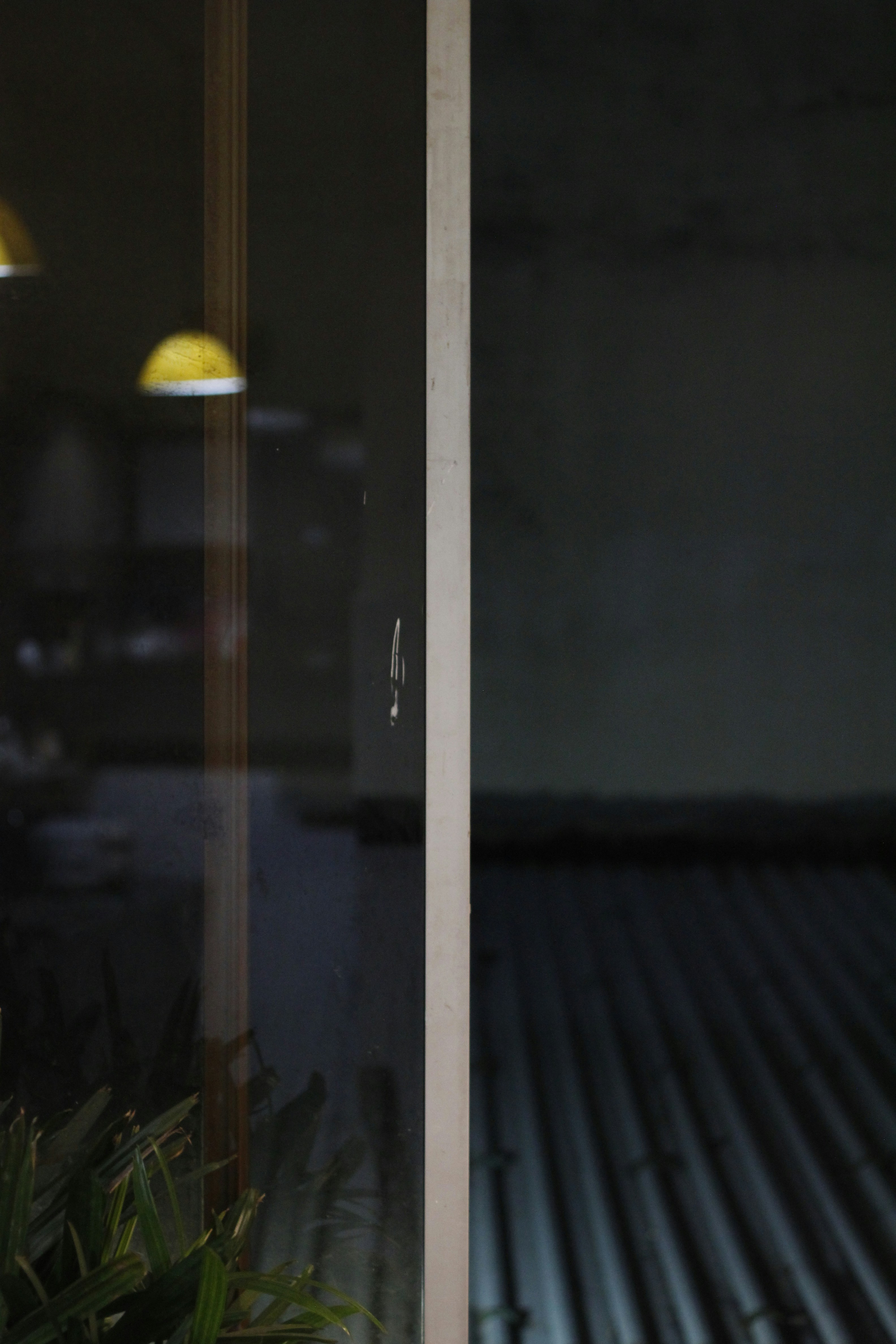 Photo by jtrinh_artwork