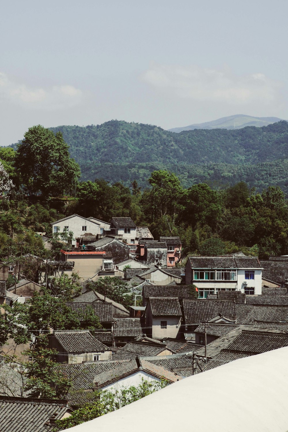 a view of a village with mountains in the background