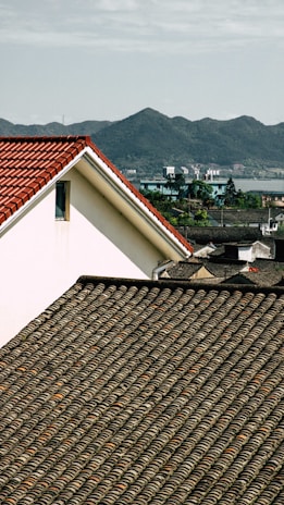 a bird is perched on a roof of a house