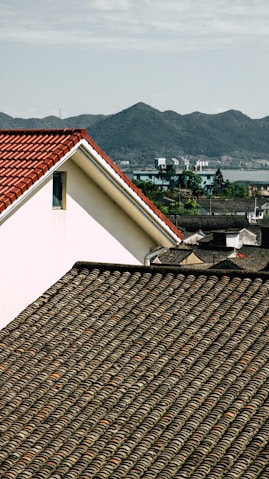 a bird is perched on a roof of a house