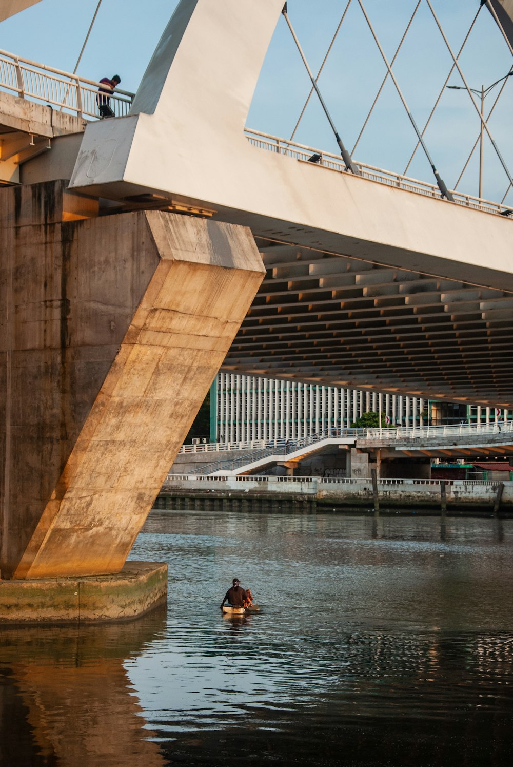 a person in a body of water under a bridge