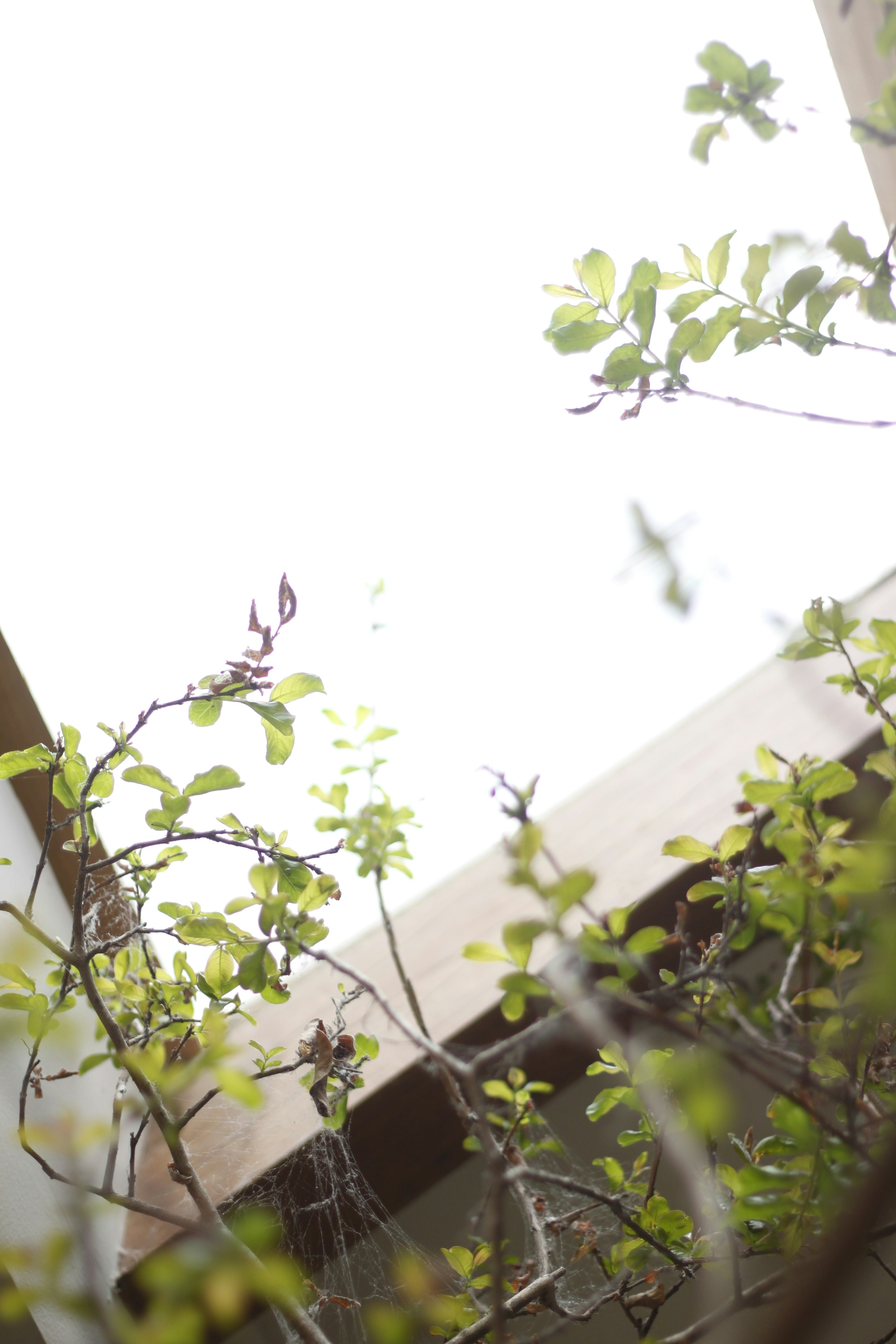 Photo by jtrinh_artwork