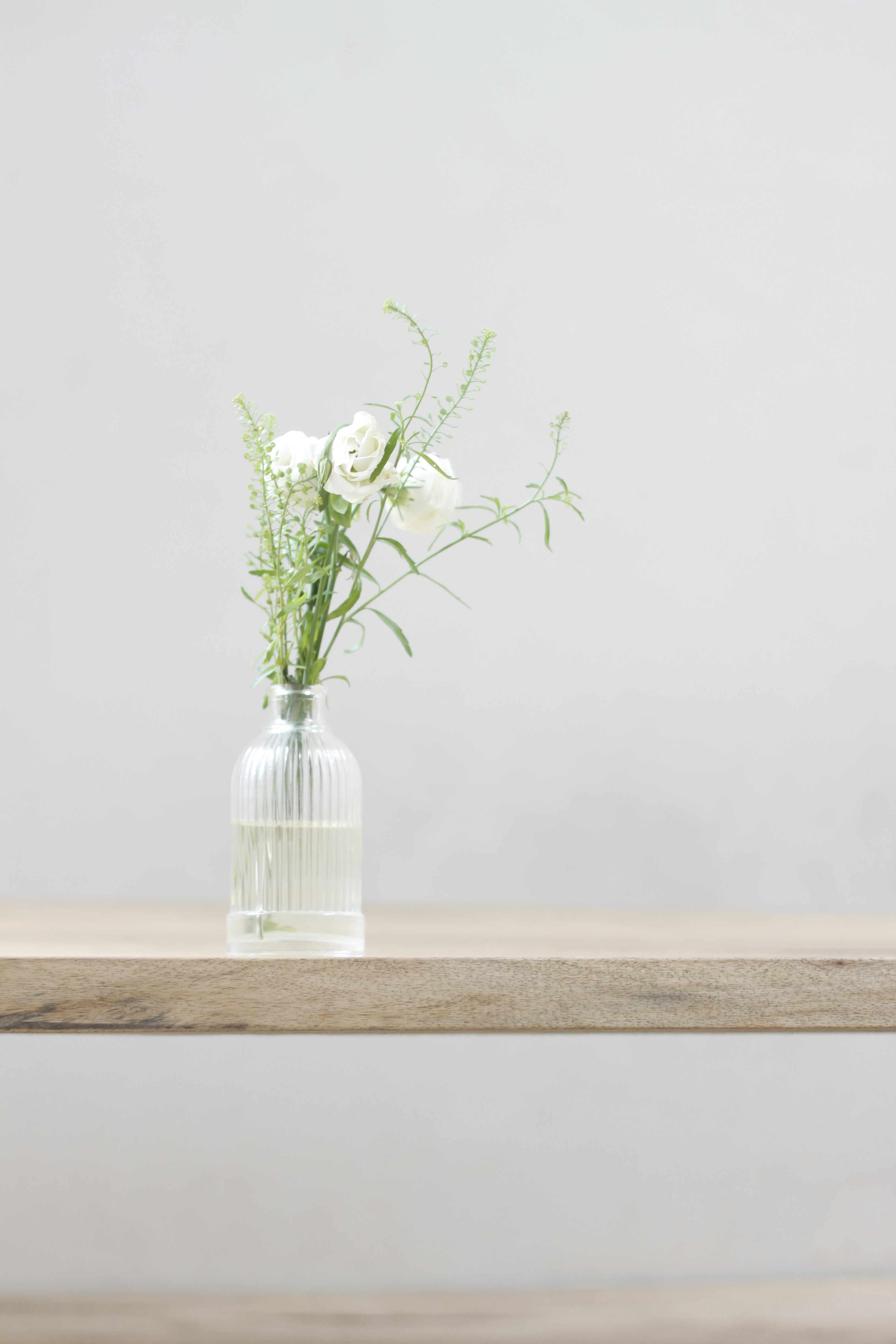 Photo by jtrinh_artwork