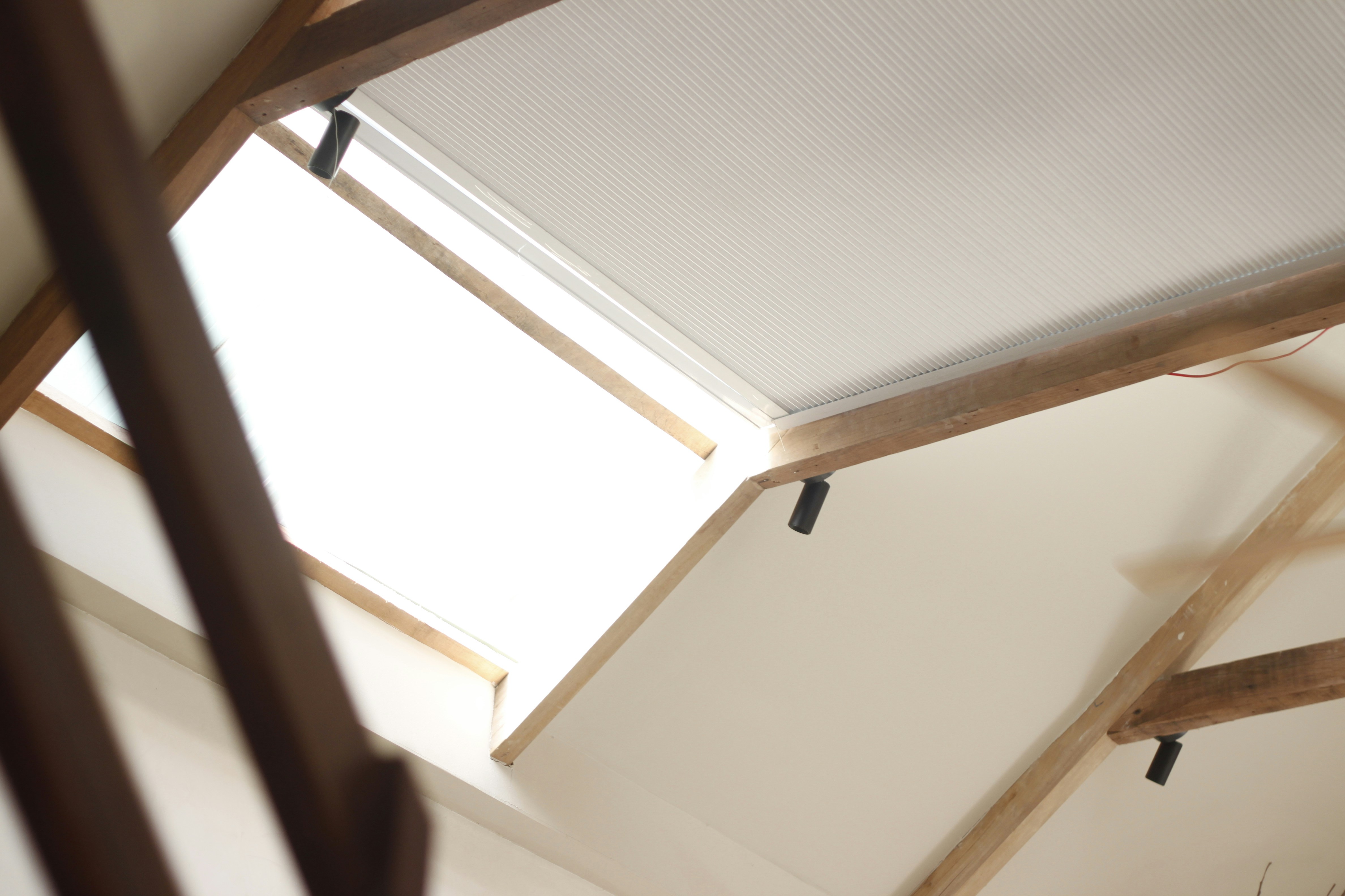 Photo by jtrinh_artwork