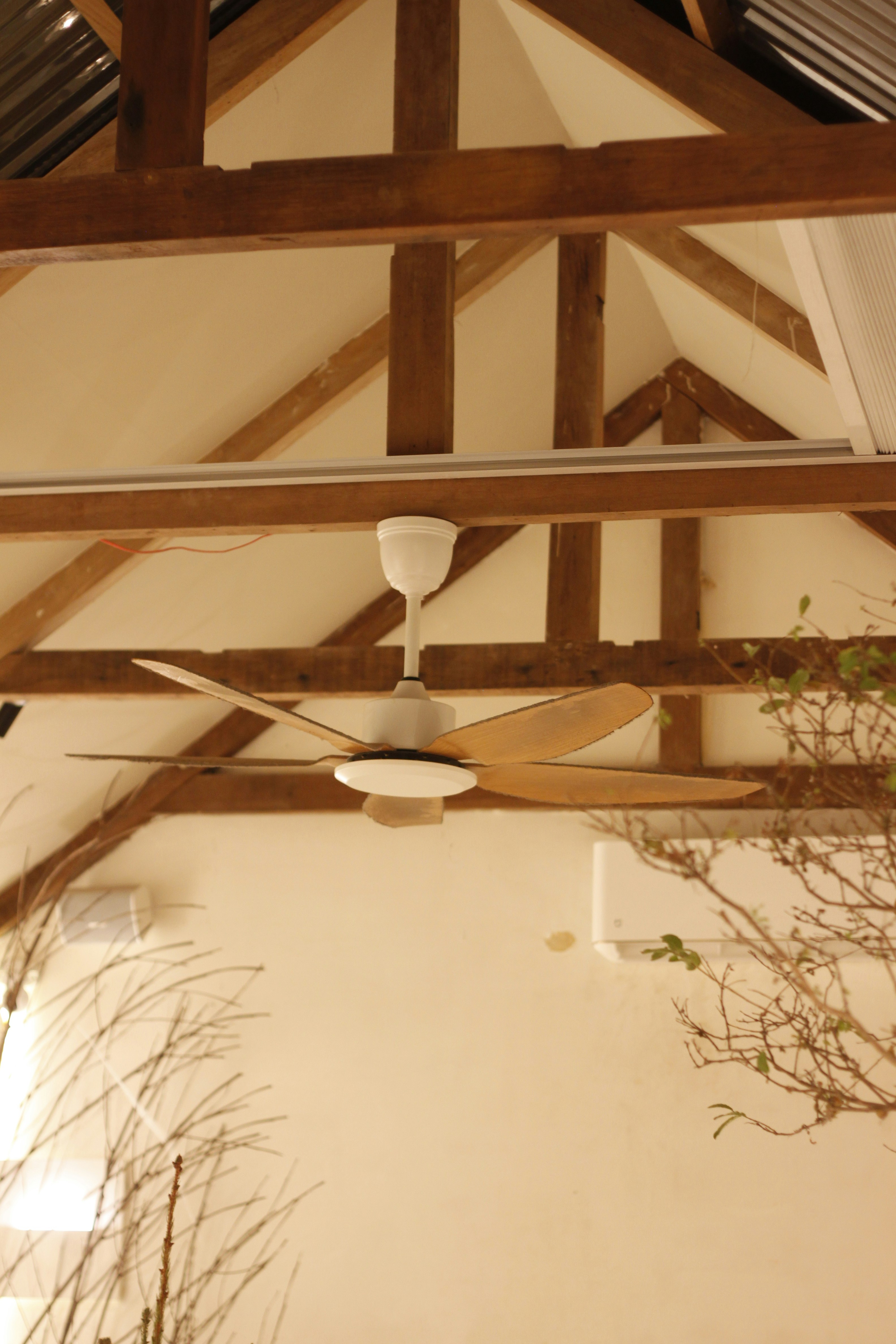 Photo by jtrinh_artwork