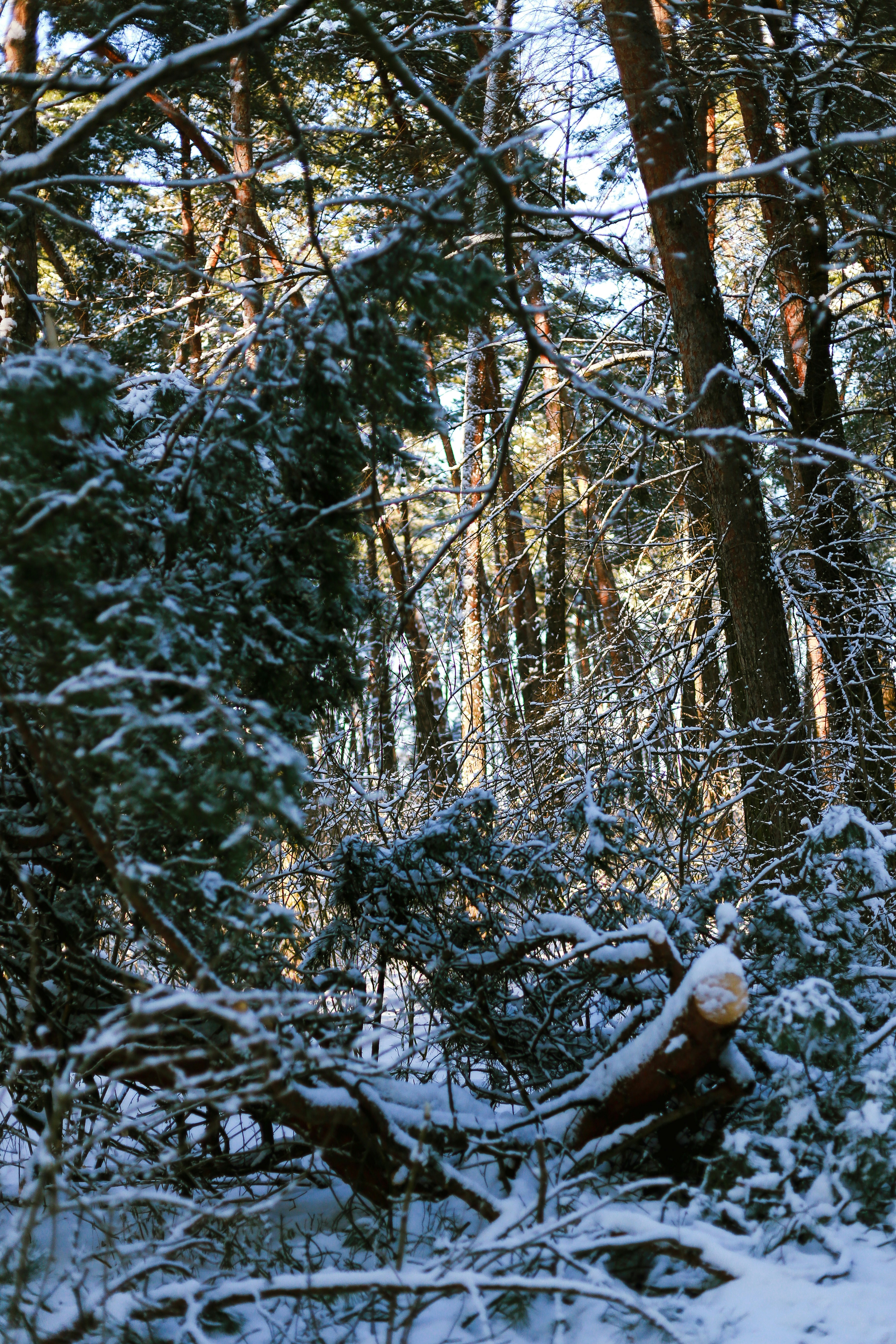 Photo by jkl28mnoamama