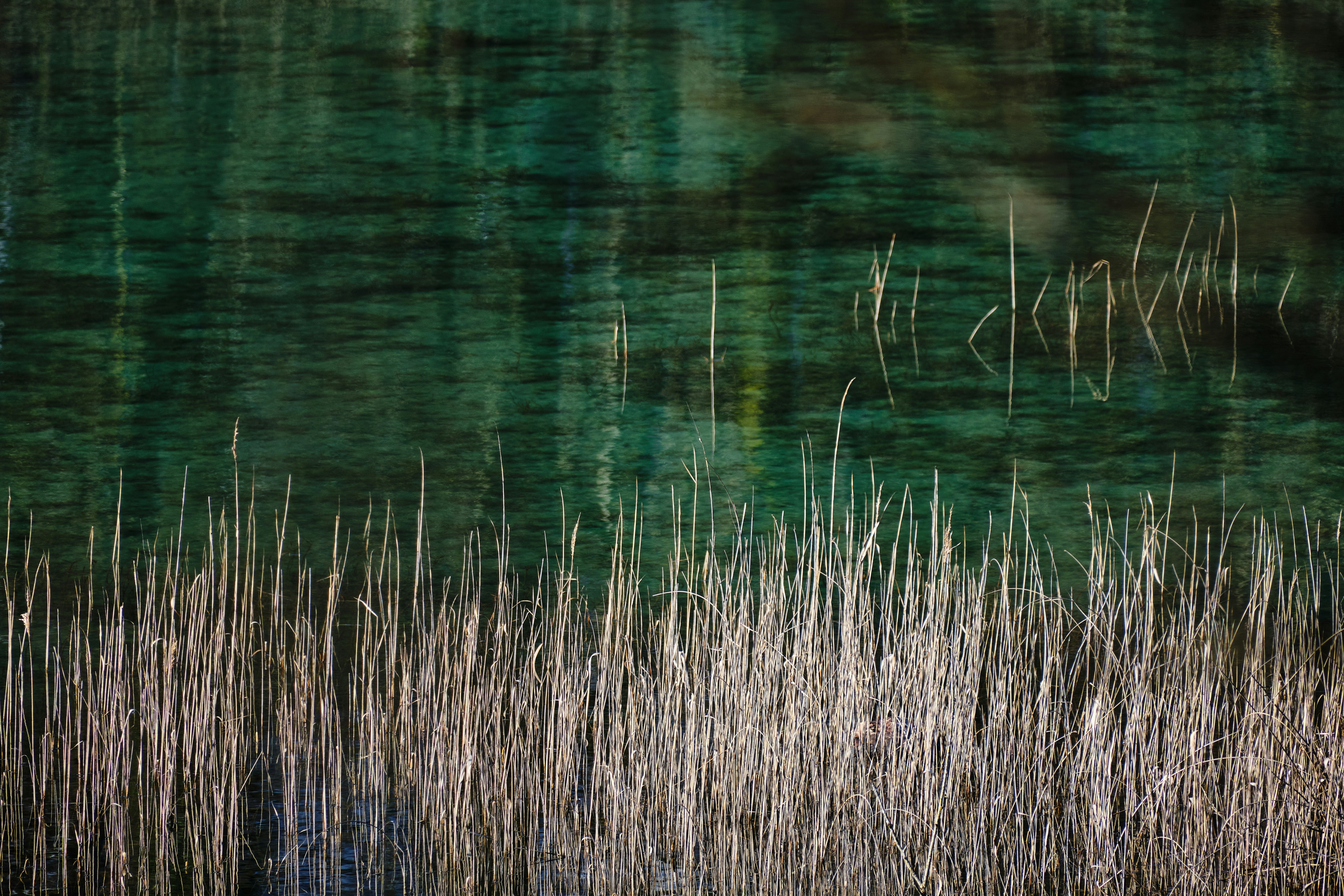 Photo by marcus_ganahl