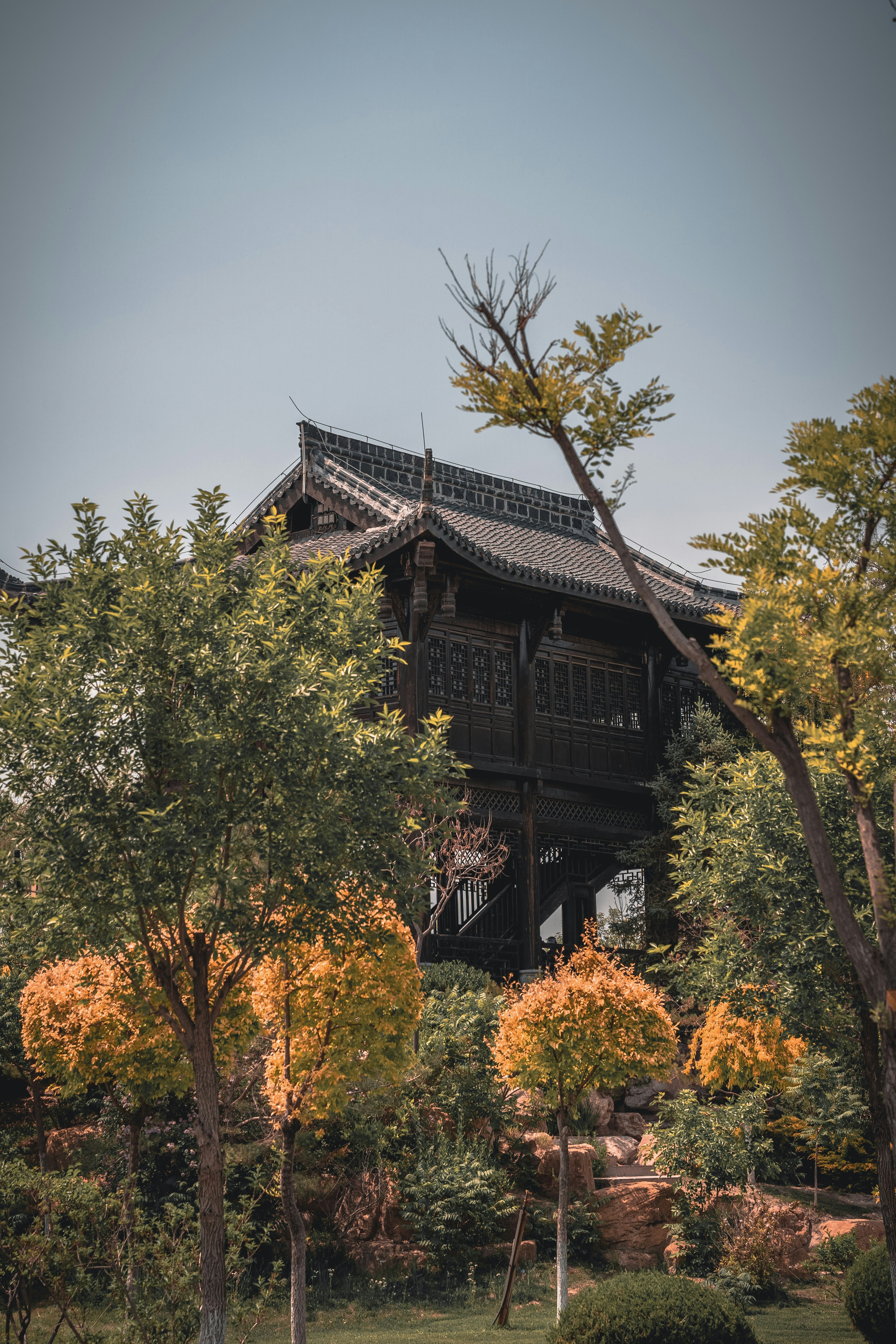 Photo by gnaiq