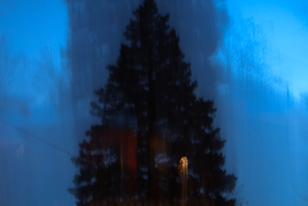 a blurry picture of a tree and a street light