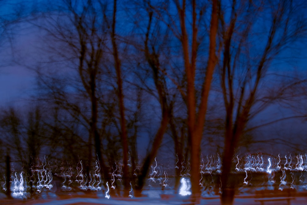 a blurry photo of trees and a bench