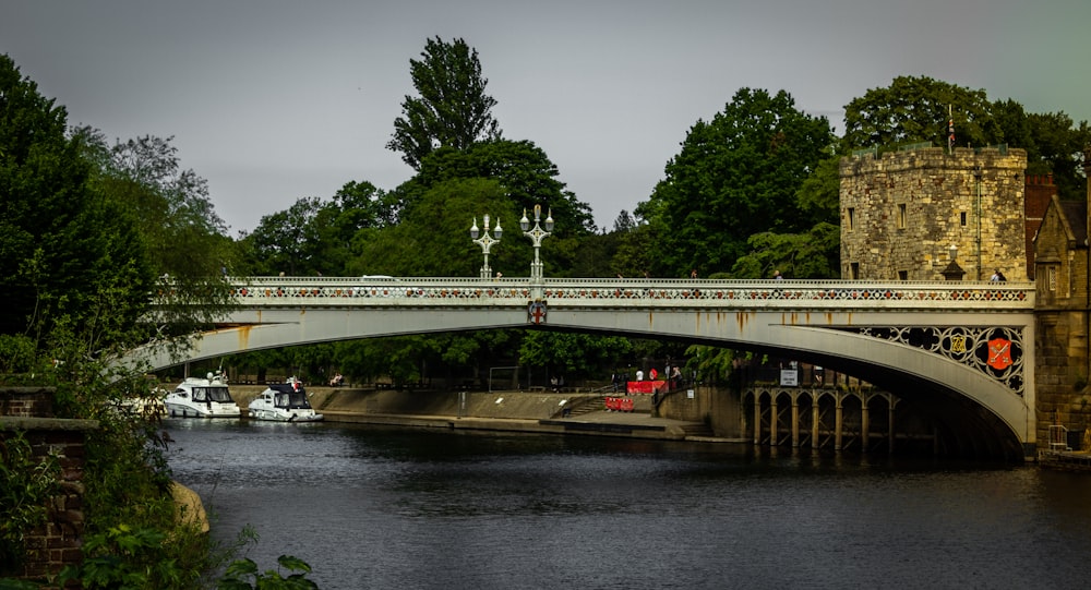 a bridge over a river with a train going over it