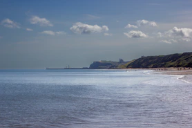 a group of people walking along a beach next to the ocean