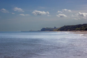 a group of people walking along a beach next to the ocean