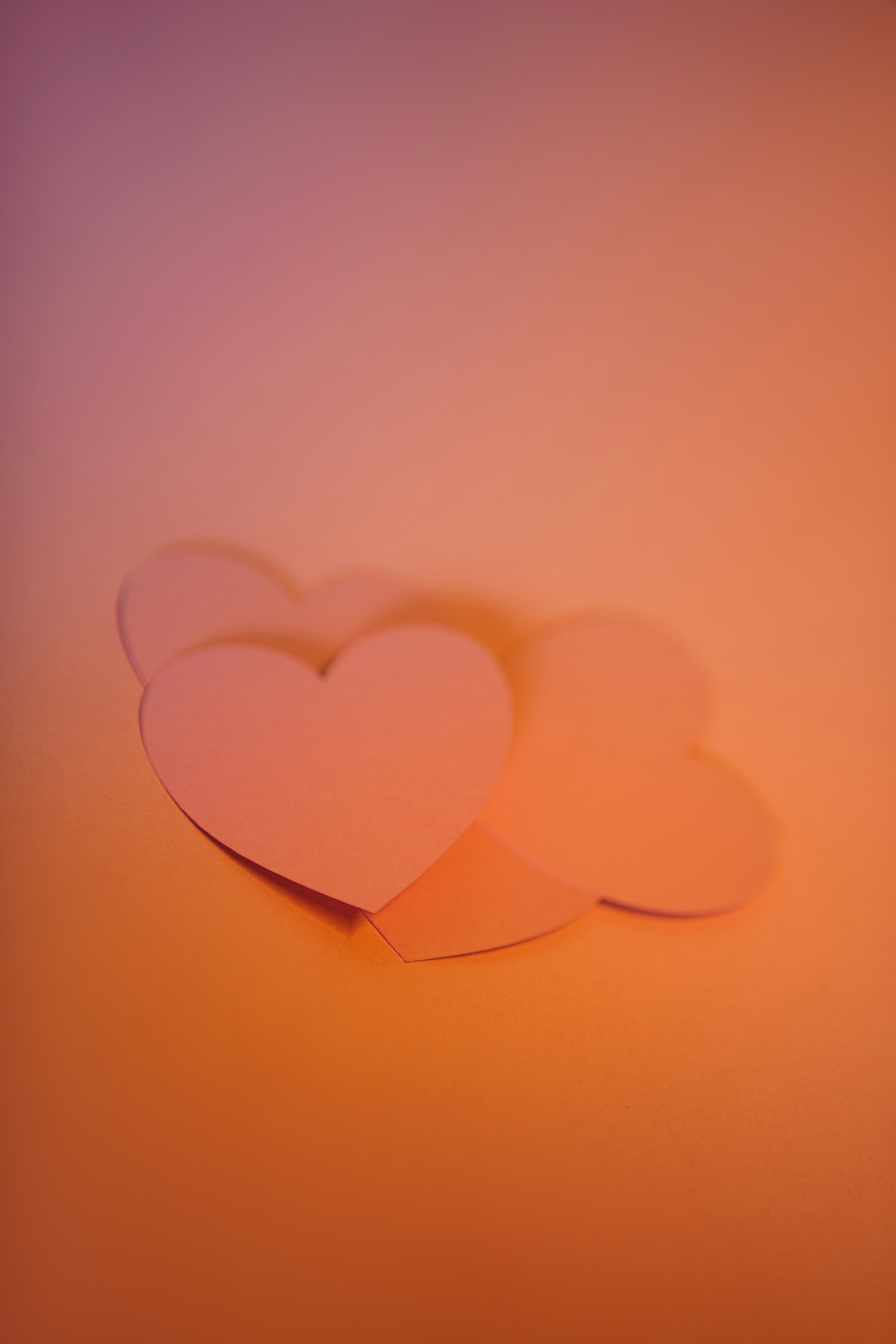 Photo by jakubzerdzicki