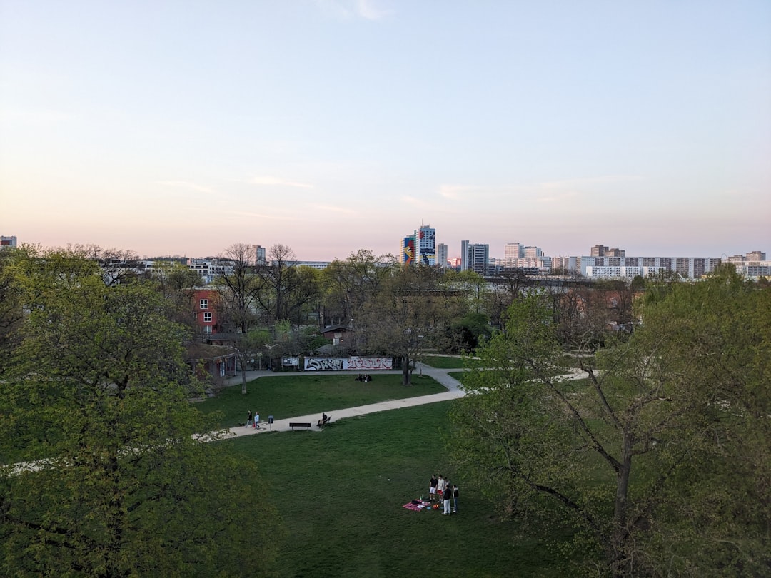 a group of people sitting on top of a lush green field,