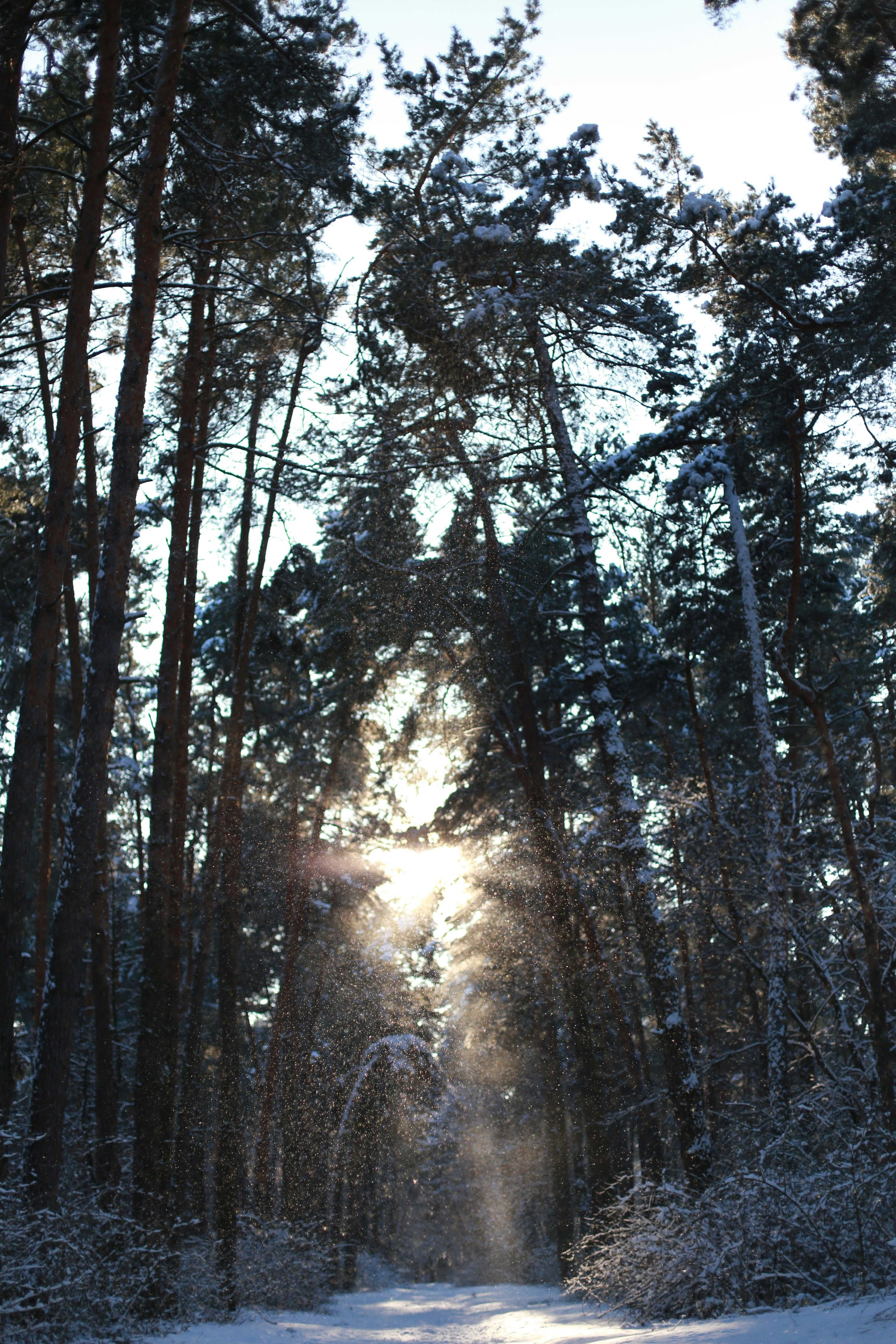 Photo by jkl28mnoamama