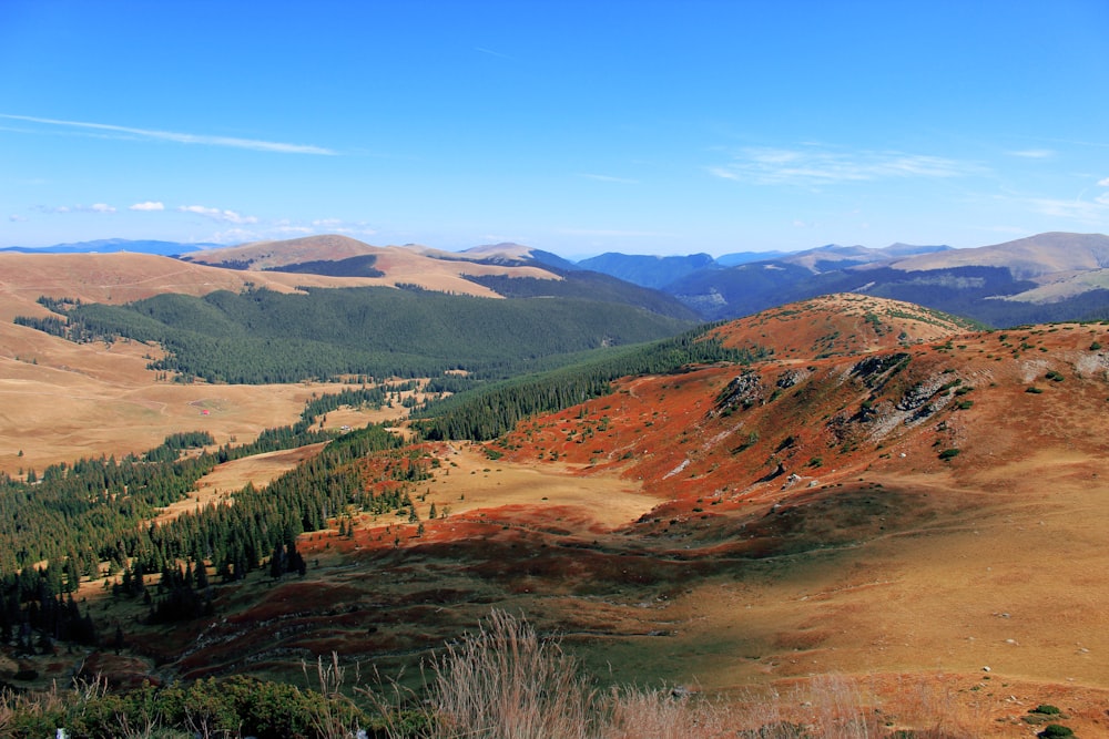 a scenic view of a mountain range with trees and mountains in the background