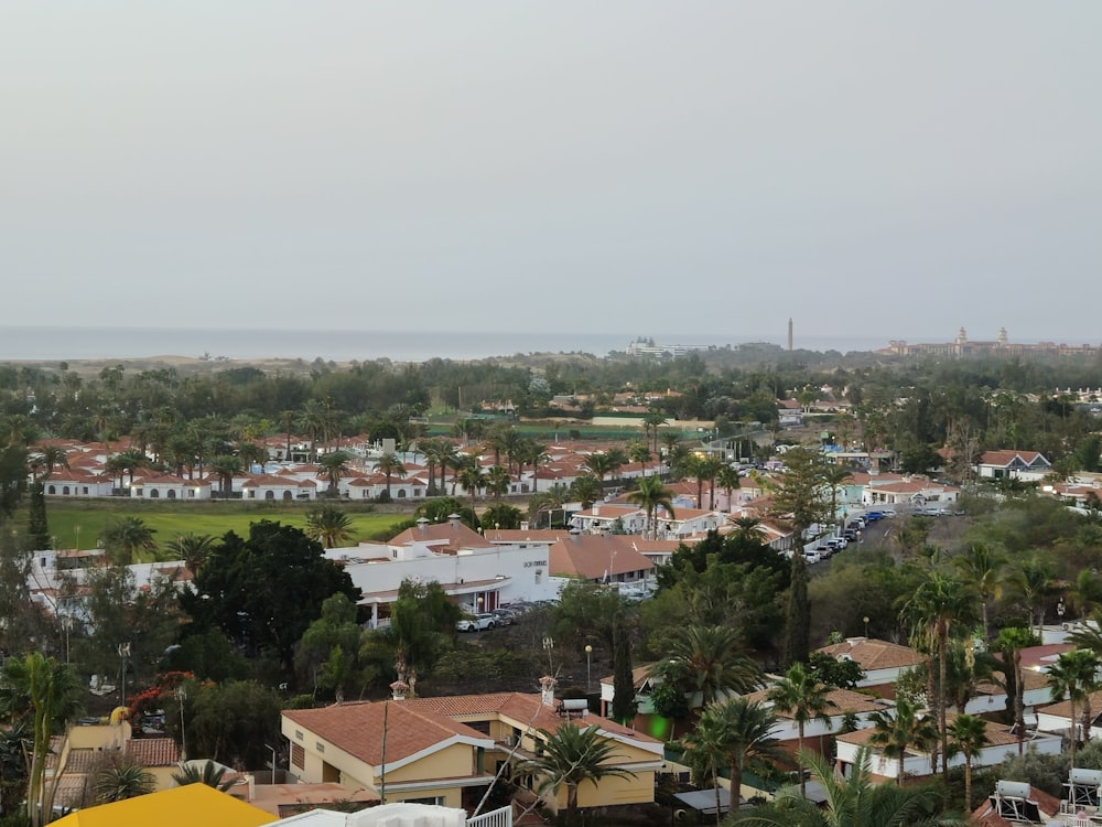 a view of a city with lots of palm trees