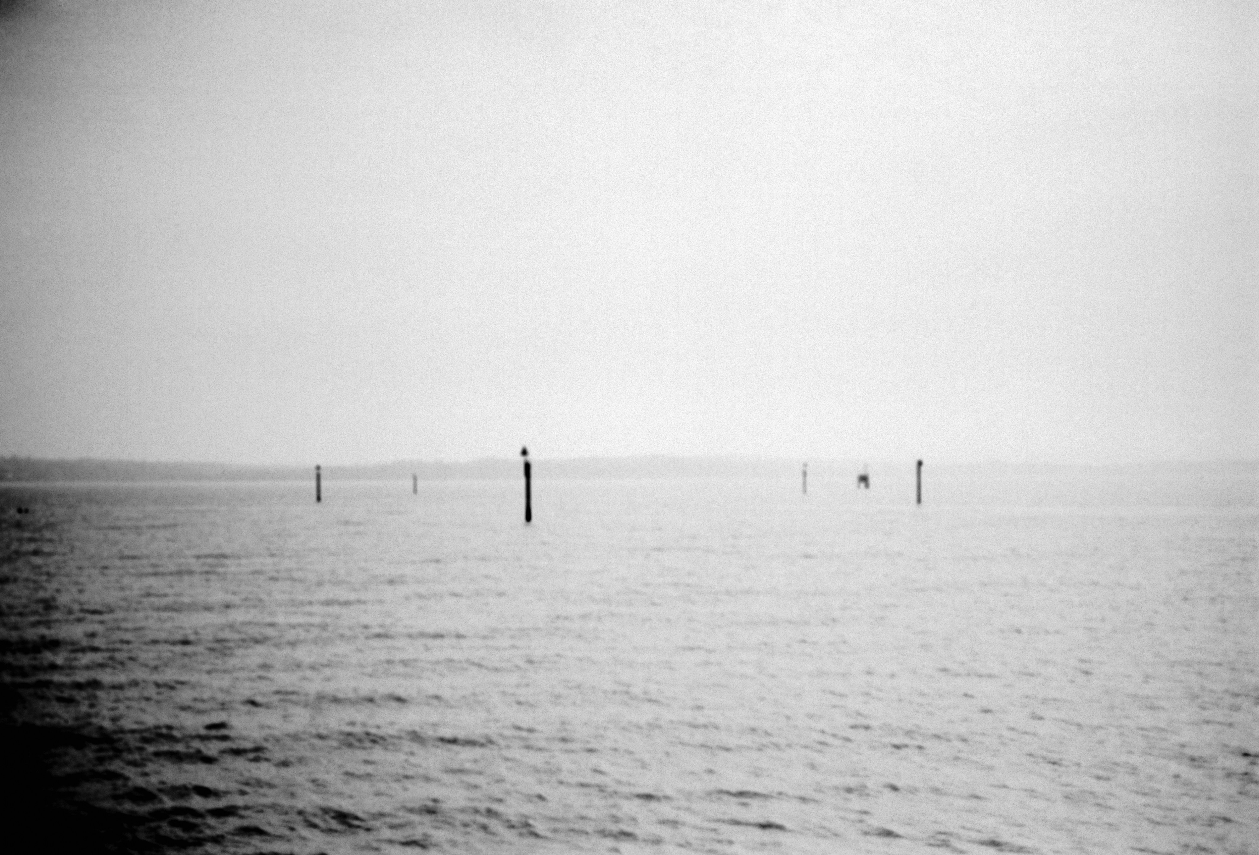 Photo by anniespratt