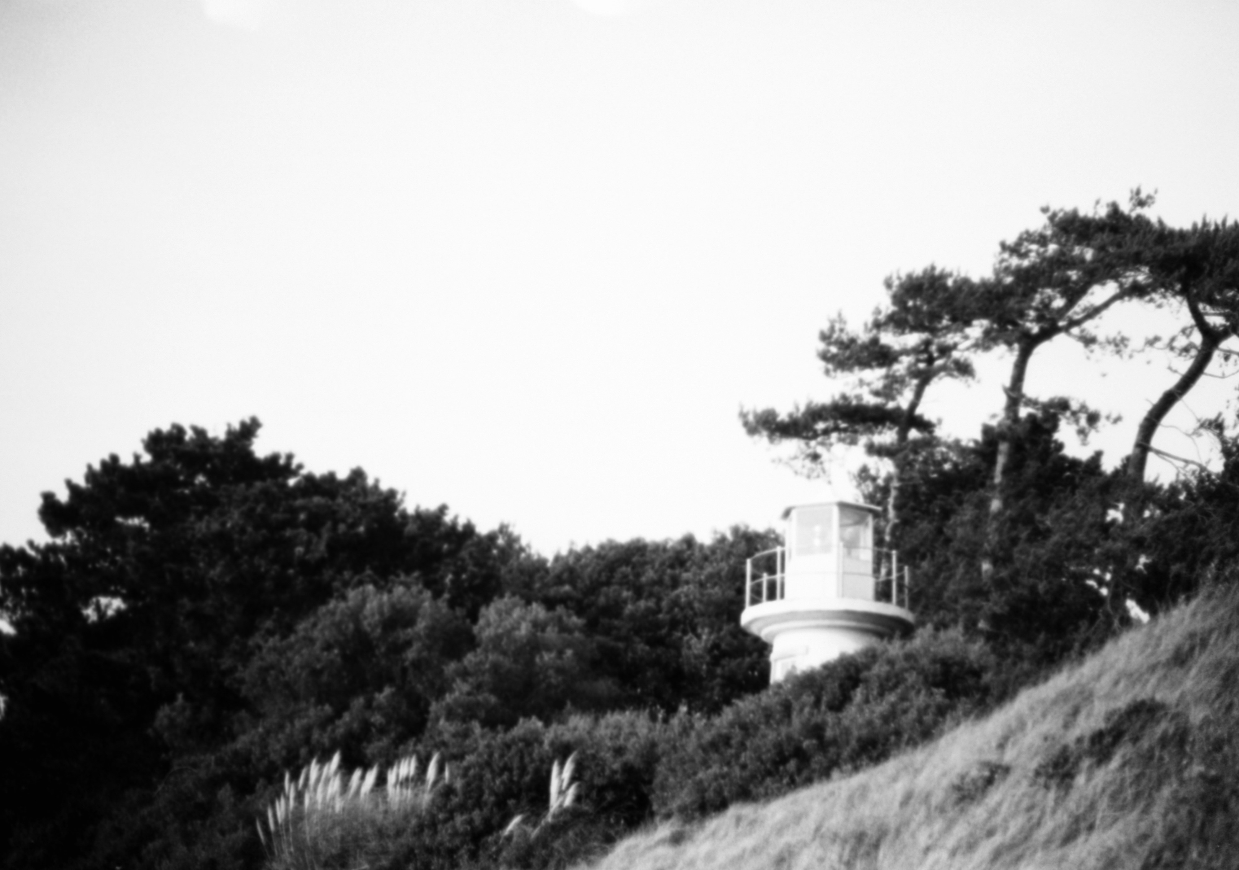 Photo by anniespratt