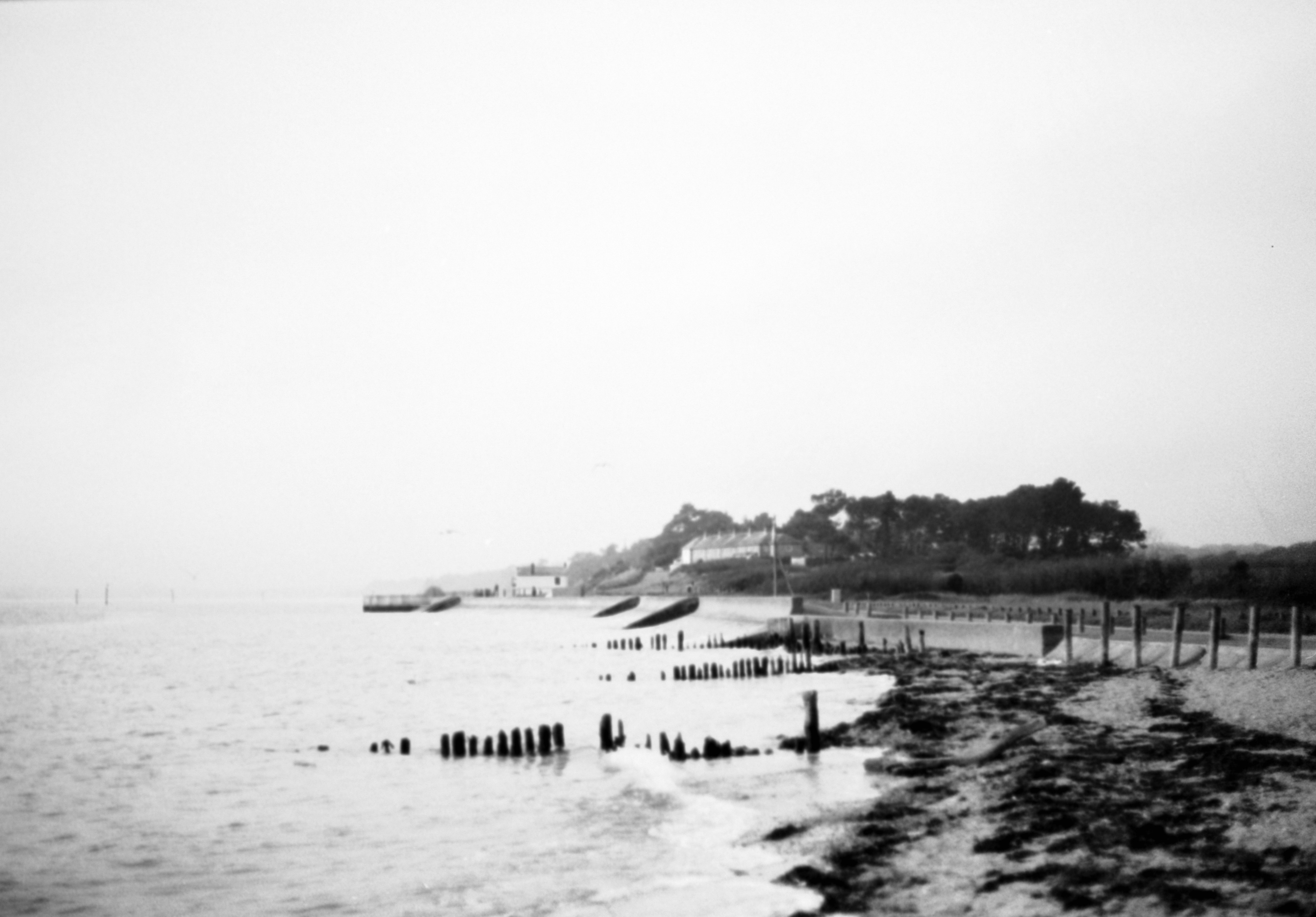 Photo by anniespratt