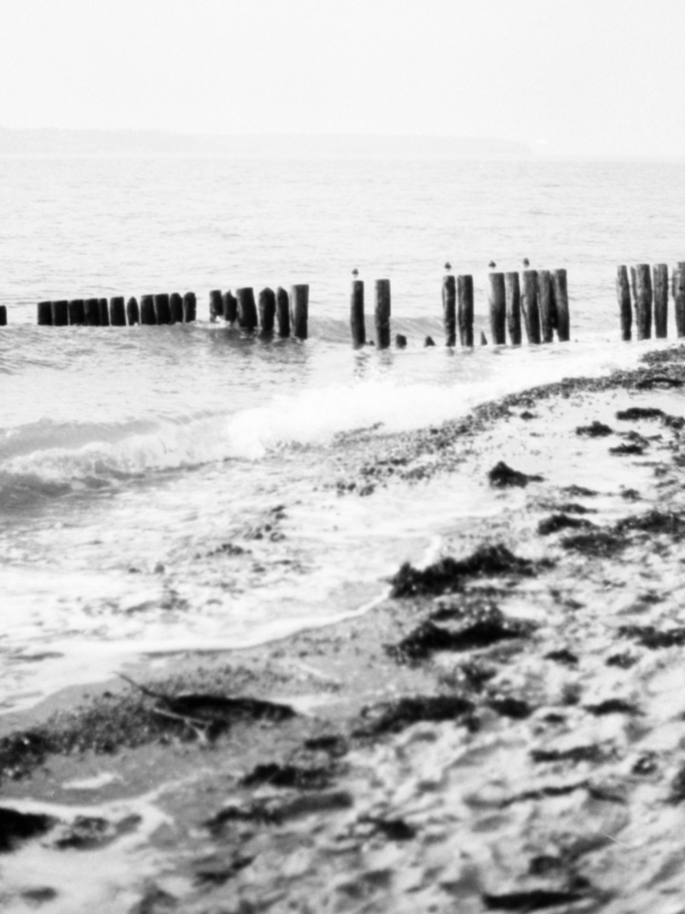 a black and white photo of a beach