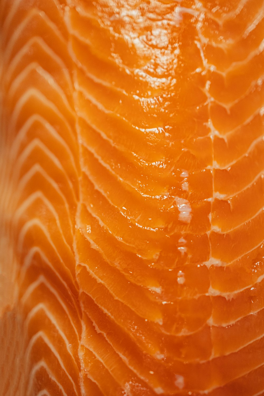 a close up of a piece of salmon