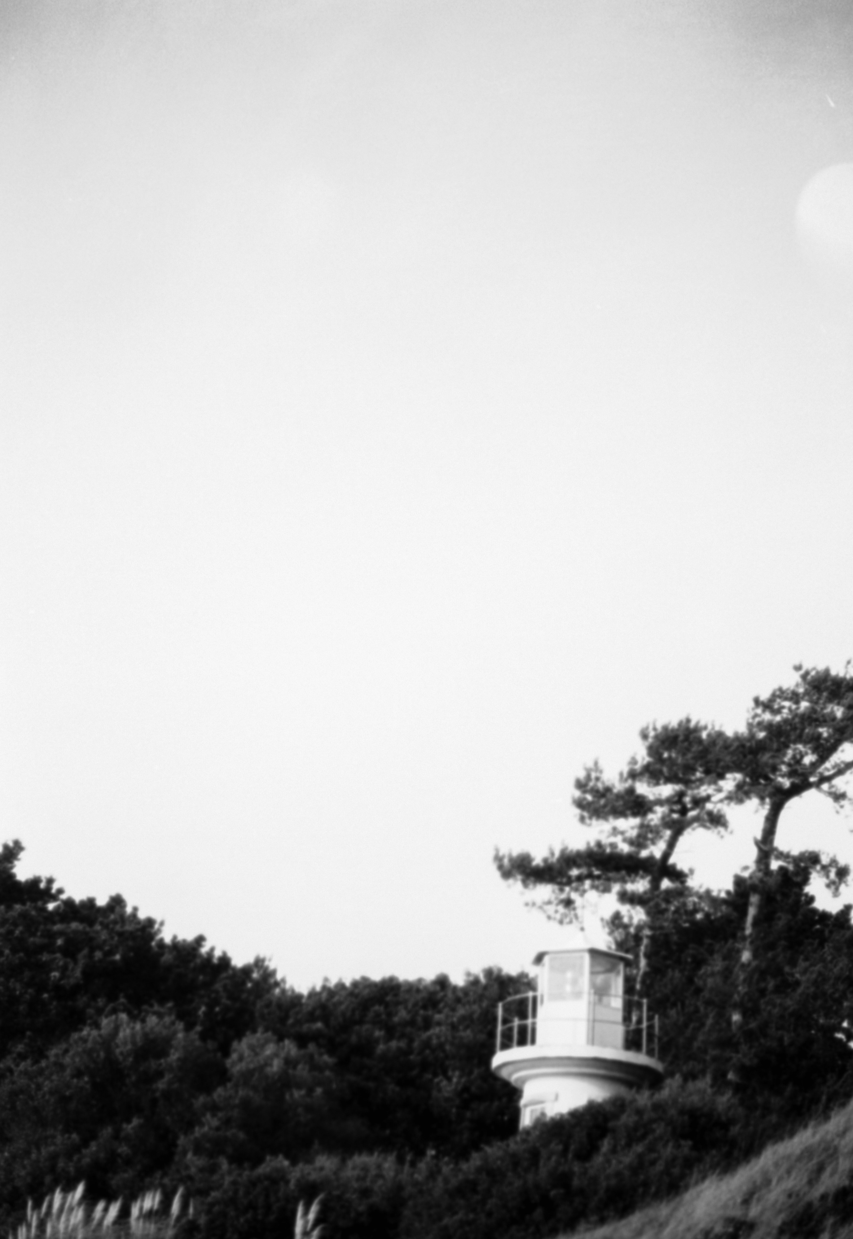 Photo by anniespratt