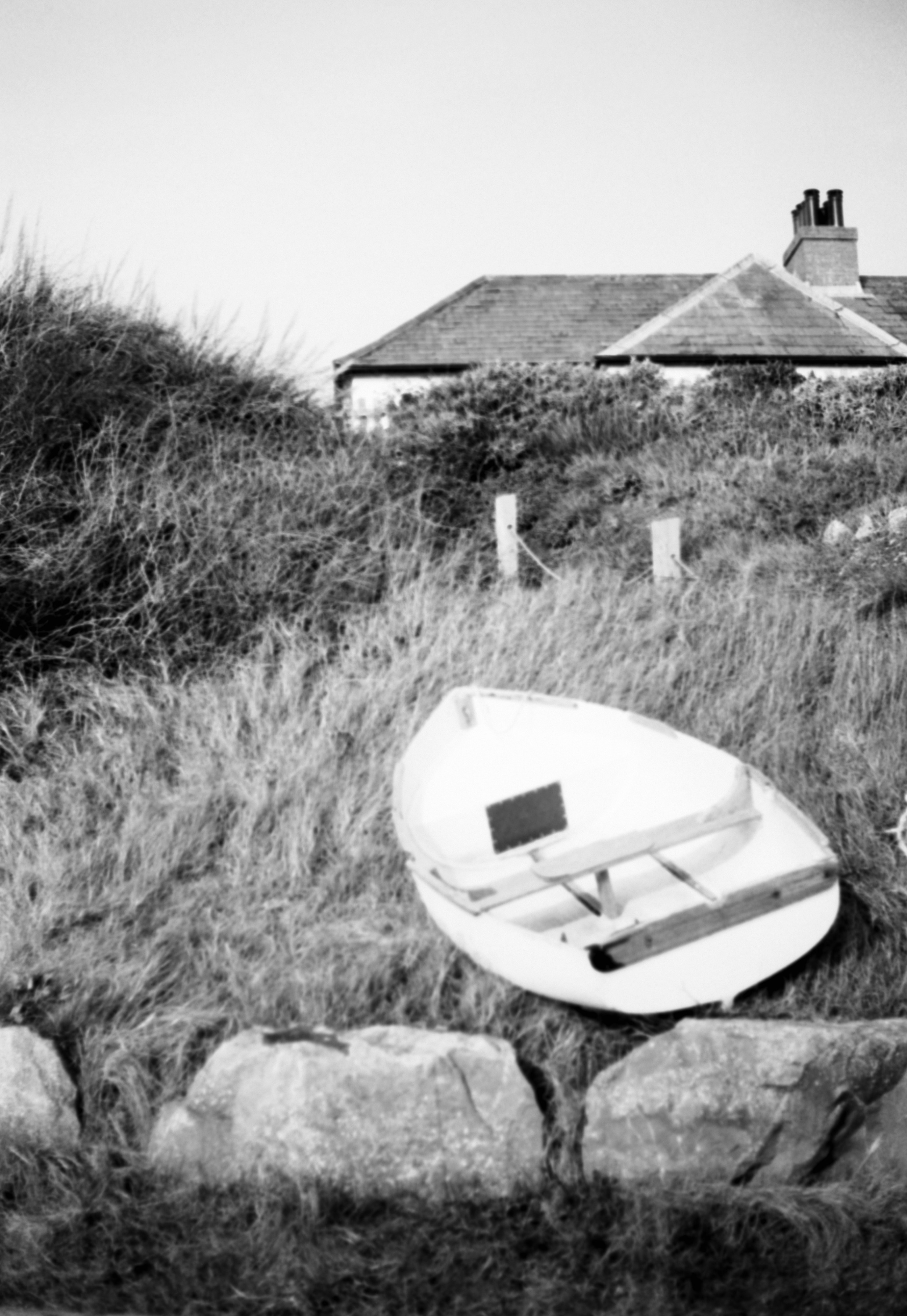 Photo by anniespratt
