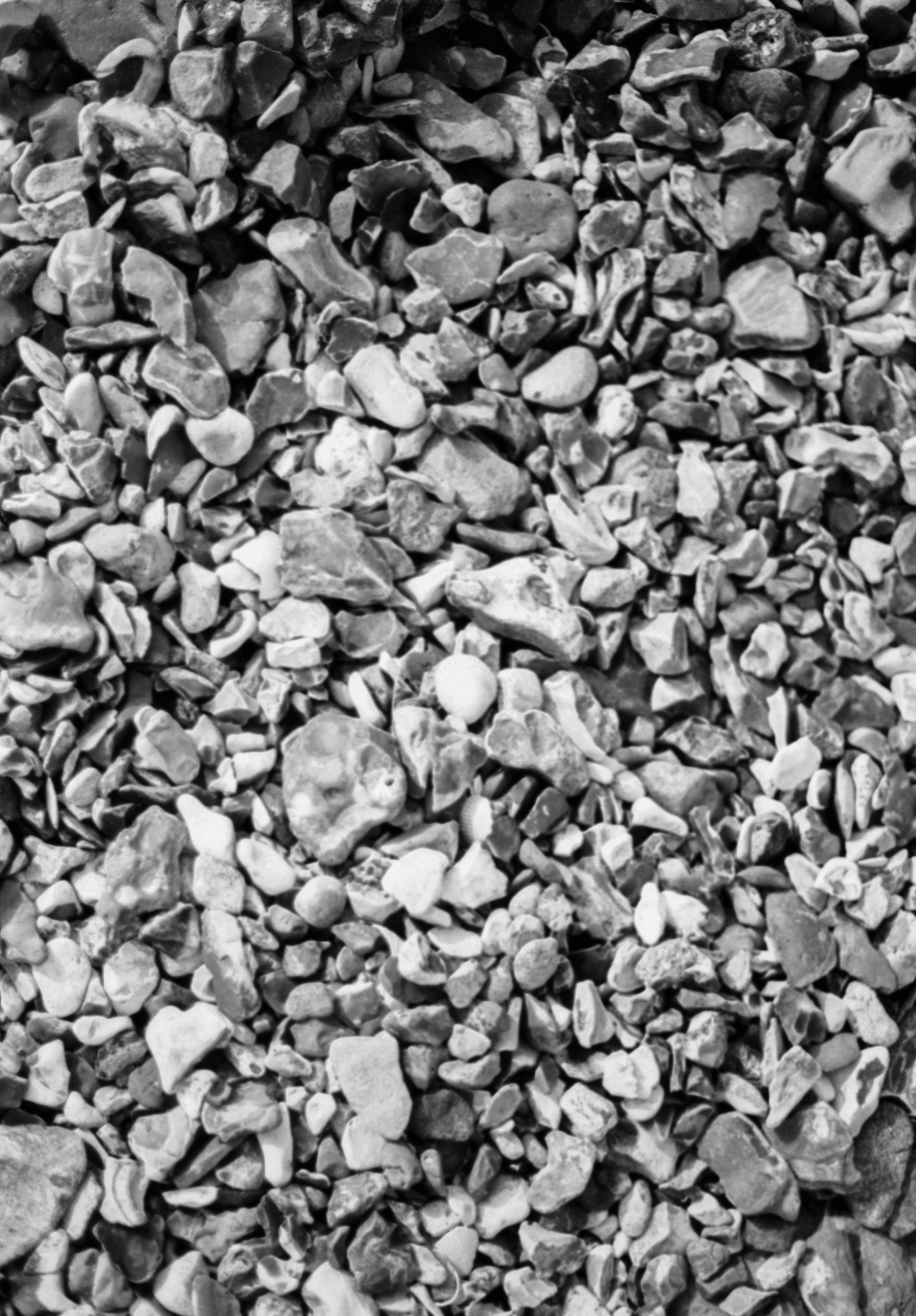 Photo by anniespratt