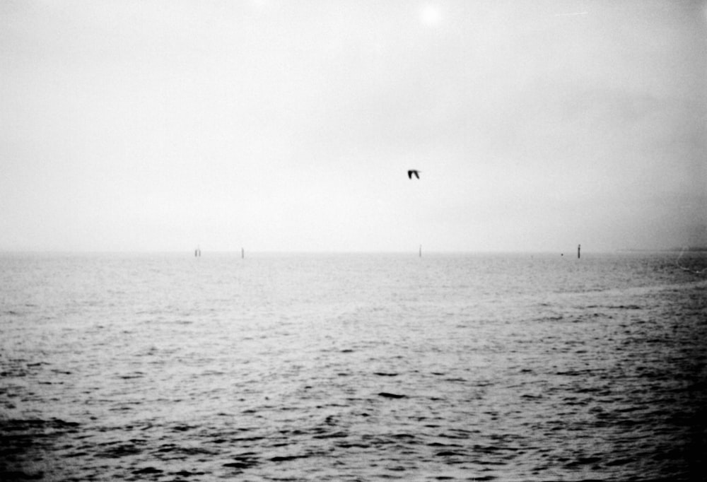 a black and white photo of a kite flying over the ocean