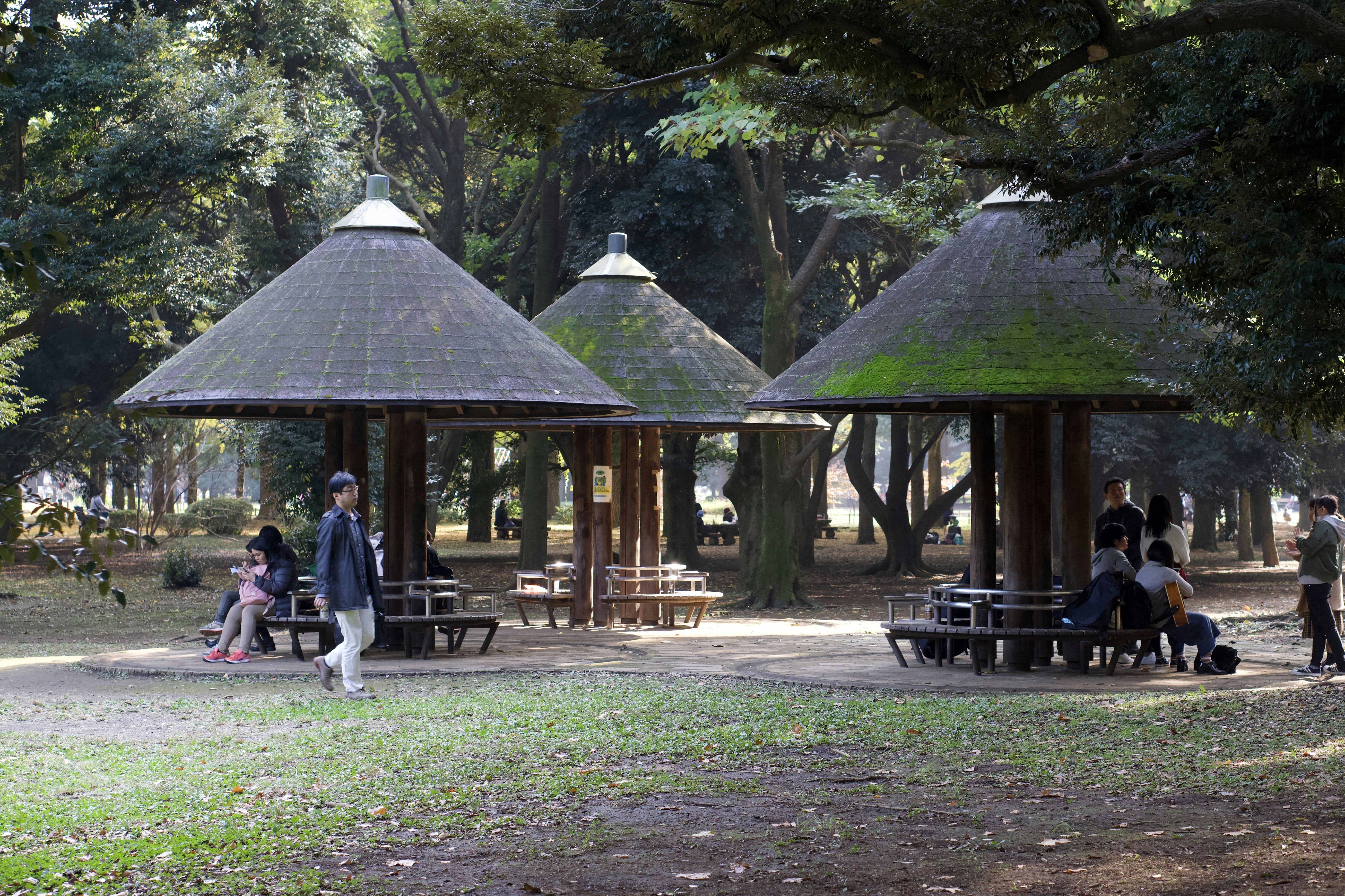 a group of people sitting and standing around a park