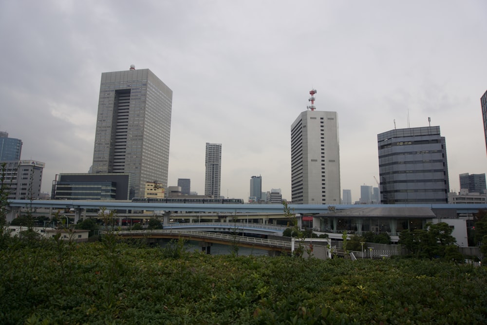 une vue d’une ville avec de grands bâtiments en arrière-plan