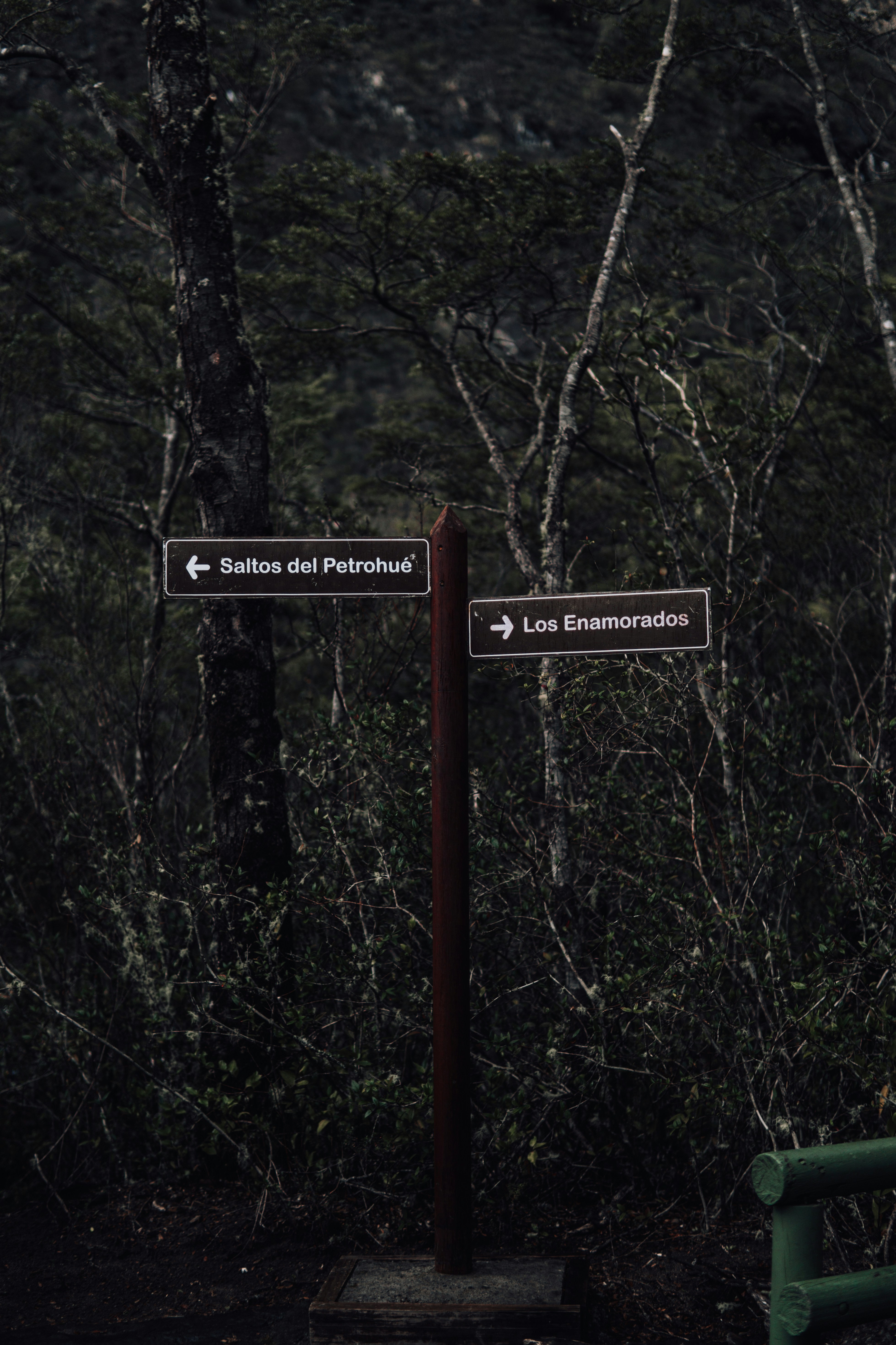 List Category Posts v0.93.0: Resolver problemas y el camino de redescubrir PHP