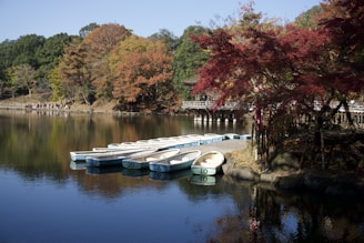 a row of boats sitting on top of a lake