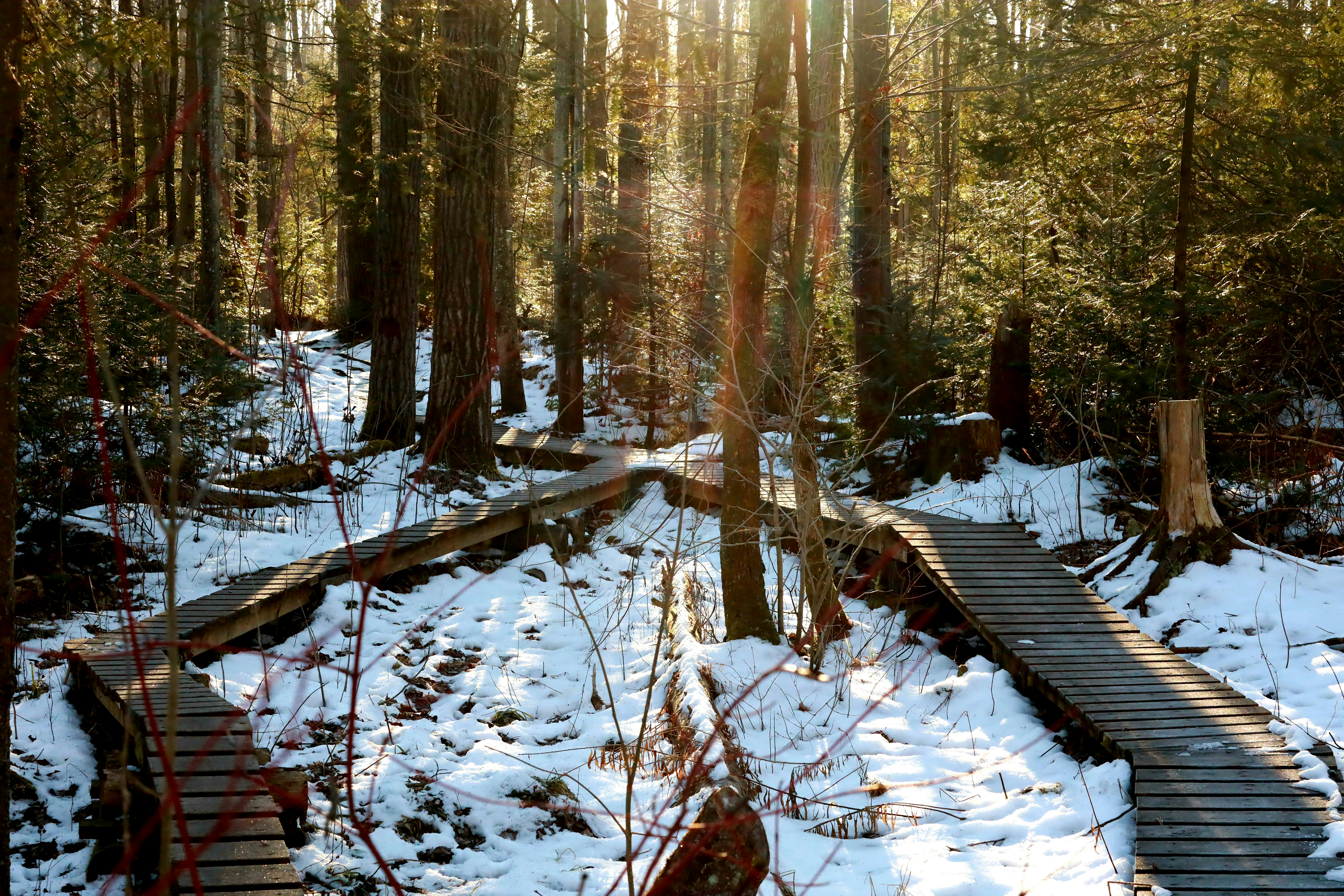 Photo by richardworks